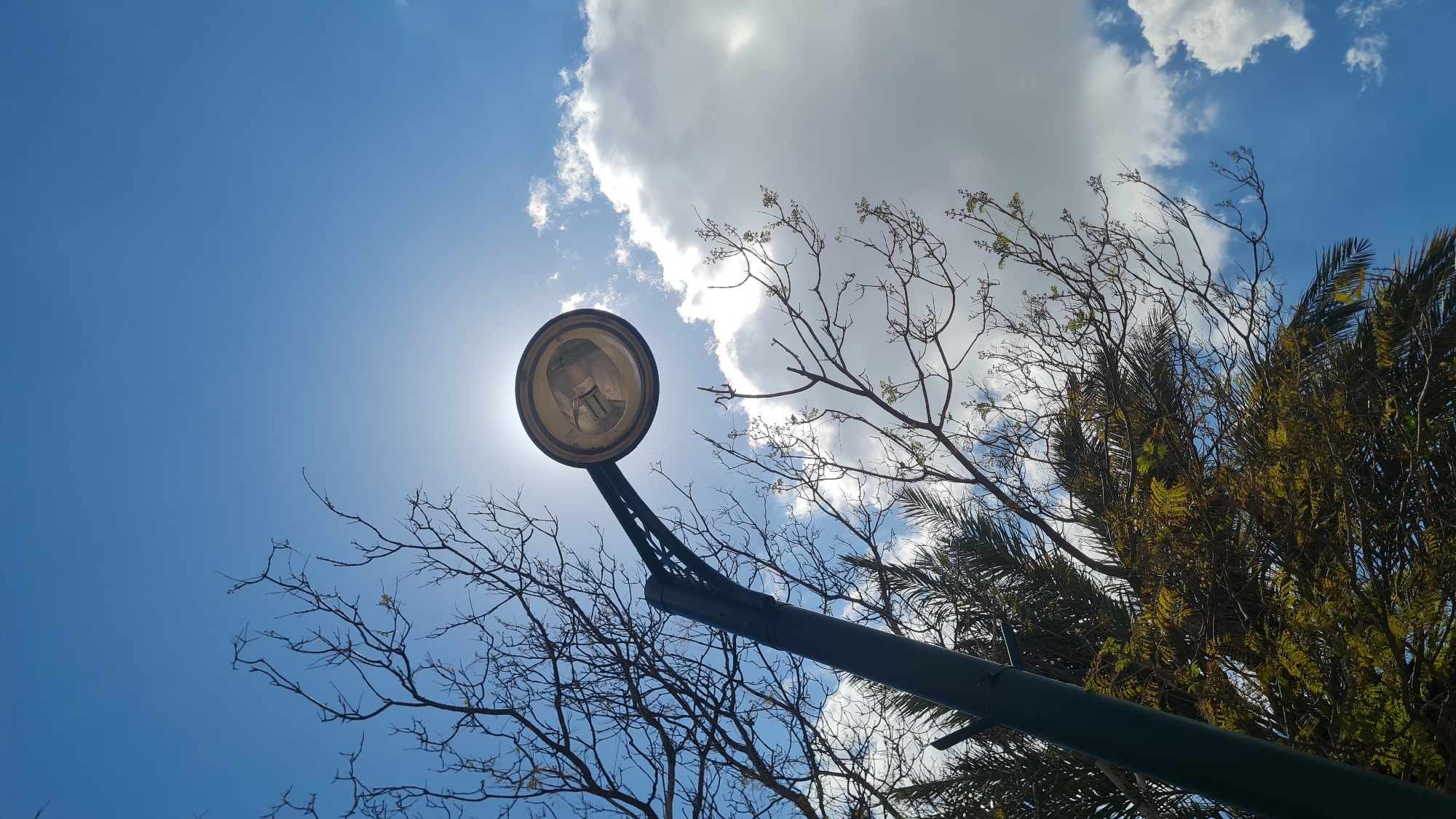 The image, taken in Lachish Regional Council, Israel, presents a low-angle view of a street lamp against a backdrop of a partly cloudy sky and tree branches. The lamp, cylindrical and retro in design, is positioned in the lower-left quadrant of the frame, with the sun positioned directly behind it. The lamp is a deep green-grey and attached to a metal arm. Bare tree branches, some with small green leaves, extend from the bottom and right sides of the frame. The sky is predominantly blue, with a large white cloud dominating the upper-right quadrant.