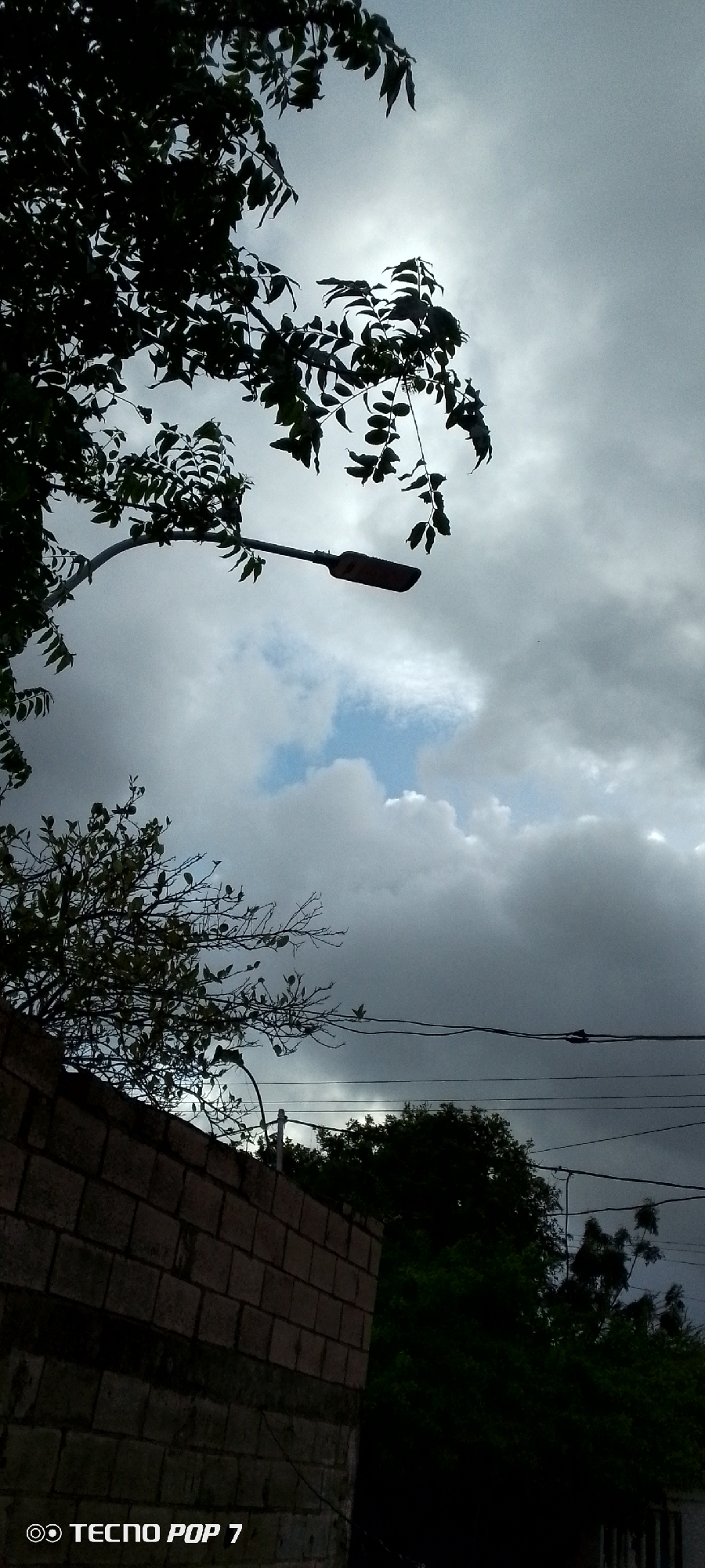 In Altagracia, Venezuela, an overcast sky looms above a streetlamp extending from a dark-leafed tree branch. The streetlamp, a muted orange, is positioned centrally in the frame, angled downwards. Below the lamp, a brick wall dominates the lower left quadrant of the image, with a sparse tree branch with dark leaves reaching over it. To the right of the wall, a dense cluster of dark green trees fills the lower right portion of the frame, with power lines stretching horizontally across the midground. The sky is a mix of light and dark grey clouds, with a small patch of blue visible in the upper center.