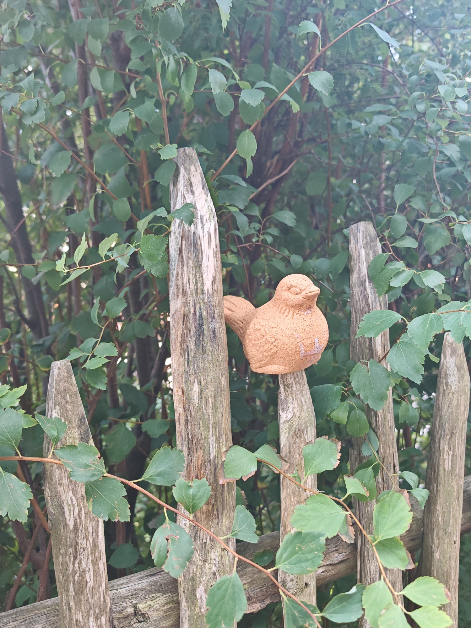 A small, terracotta-colored ceramic bird figurine is perched on a weathered wooden fence post. The bird is facing to the left, with its eyes closed and its beak slightly open. The fence is made of uneven, pointed wooden stakes, and it is partially covered in green leaves and vines. In the background, there is dense green foliage, likely from a bush or tree. The overall scene appears to be an outdoor setting, possibly a garden, in Obergünzburg, Germany.
