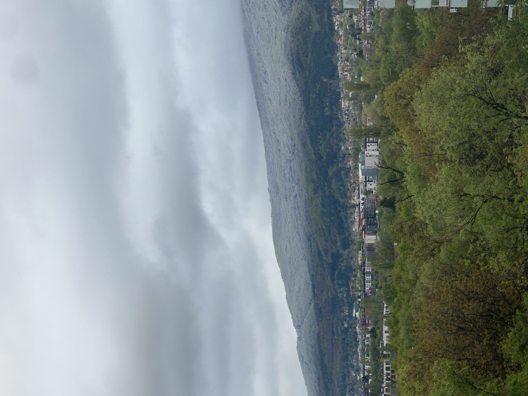 The image presents a wide, slightly elevated panoramic view of a mountainous landscape with an urban settlement nestled at its base, consistent with a location like Sofia, Bulgaria, at the foot of Vitosha Mountain. The scene is dominated by a large, forested mountain slope rising prominently on the right side of the frame. The mountain is densely covered in trees, exhibiting various shades of green, suggesting lush vegetation typical of spring or summer. The upper reaches of the mountain appear to blend into a soft mist or low-hanging clouds.
The sky occupies the upper left portion of the image and is entirely overcast, filled with soft grey and white clouds, indicating a cloudy day, possibly with misty conditions.
Stretching along the base of the mountain and extending across the middle of the frame is an urban area, a town or city. Numerous buildings, likely residential houses and smaller structures, are visible, interspersed among trees and green spaces. The architecture appears functional rather than ornate, with varied rooflines and facades. While no specific landmarks are discernible, the general layout shows a settlement integrated with the natural terrain.
No specific activity or event is taking place; the scene is a static landscape. The time of day appears to be daytime, but the heavy cloud cover prevents any direct sunlight or clear shadows. There is no visible text in the image. The overall atmosphere is quiet and serene, with a hint of coolness due to the overcast weather.