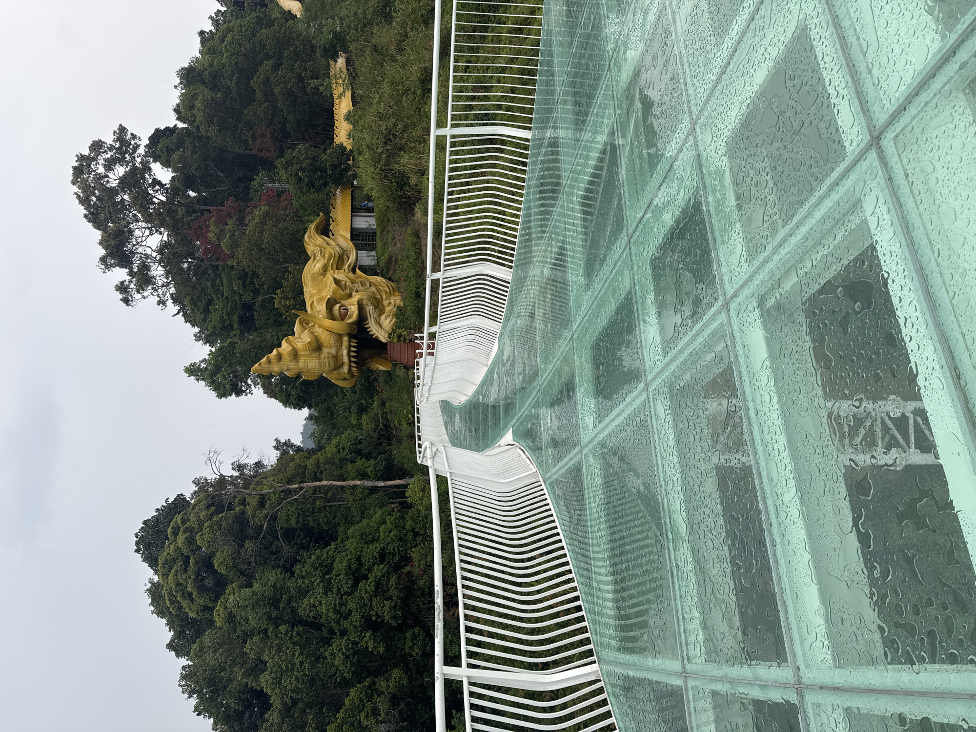 The image displays a modern glass skywalk or bridge situated amidst a dense, verdant forest under an overcast sky. The skywalk's floor is constructed from large, clear glass panels, which are covered in numerous raindrops, indicating recent rainfall or high humidity. White, horizontally slatted metal railings curve along the edge of the skywalk, leading the eye into the distance.
To the left of the skywalk, a magnificent golden statue of a mythical creature, resembling a dragon or a naga, emerges from the tree line. The statue's head is highly detailed, featuring scales, prominent eyes, fangs, and flowing decorative elements. Its golden color stands out against the dark green of the surrounding lush trees, which dominate the background and suggest a mountainous or elevated terrain. The sky is a uniform, light grey, characteristic of an overcast day. No people are visible on the skywalk or in the general scene. The setting combines impressive man-made architecture with natural beauty, implying a scenic attraction, consistent with locations found in Đà Nẵng, Vietnam. No visible text is present in the image.