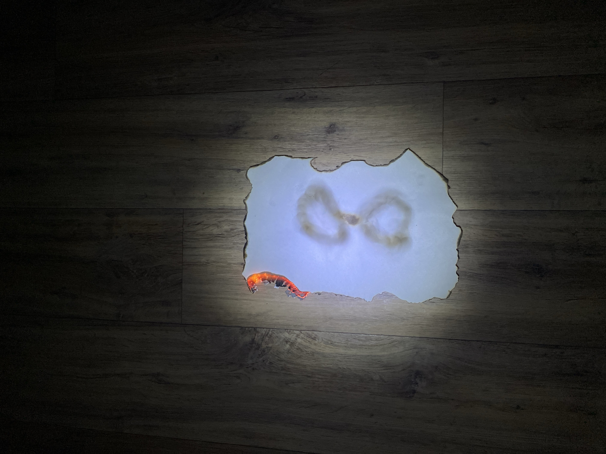 The image captures a low-light indoor scene, focusing on a centrally illuminated element against a dark background. A piece of irregularly shaped white paper, with burnt or torn edges, rests on a dark brown wooden surface, likely a floor or tabletop. The paper glows with a soft, ethereal light from beneath.
On the surface of the white paper, there are distinct burn marks forming two interconnected loops, reminiscent of an infinity symbol or a stylized figure-eight. A small, vivid reddish-orange creature, resembling a shrimp or a large larva, is positioned on the lower left edge of the paper, partially extending onto the wooden surface. Its bright coloration stands out against the glowing white and dark wood.
The surrounding wooden surface is dark, with visible grain and texture, suggesting a natural wood finish. The overall lighting is dramatic, with the primary light source appearing to emanate from directly under the paper, creating a striking contrast with the dim surroundings. The arrangement suggests a deliberate, artistic setup rather than a candid moment. No text is visible in the image. The scene is set in what is contextually provided as Krasnodar, Russia.