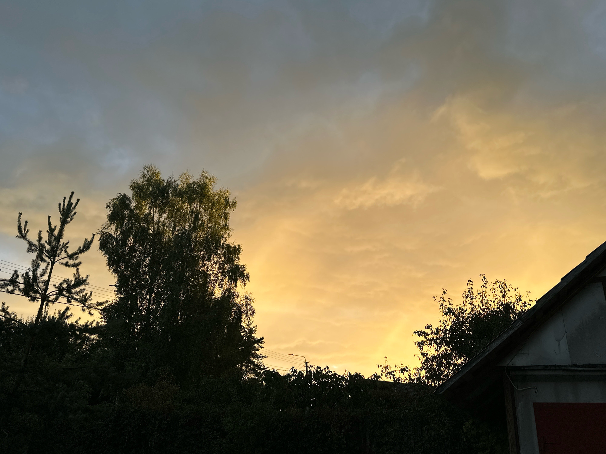 The image captures a twilight sky with hues of orange and yellow, indicative of either a sunrise or sunset. Silhouetted against this vibrant sky are the dark shapes of trees, including a prominent birch tree, and a portion of a building's roofline in the foreground. The scene appears to be an outdoor setting, possibly a residential area, with a hint of utility lines also visible amongst the trees. The overall impression is one of a calm, natural transition from day to night.