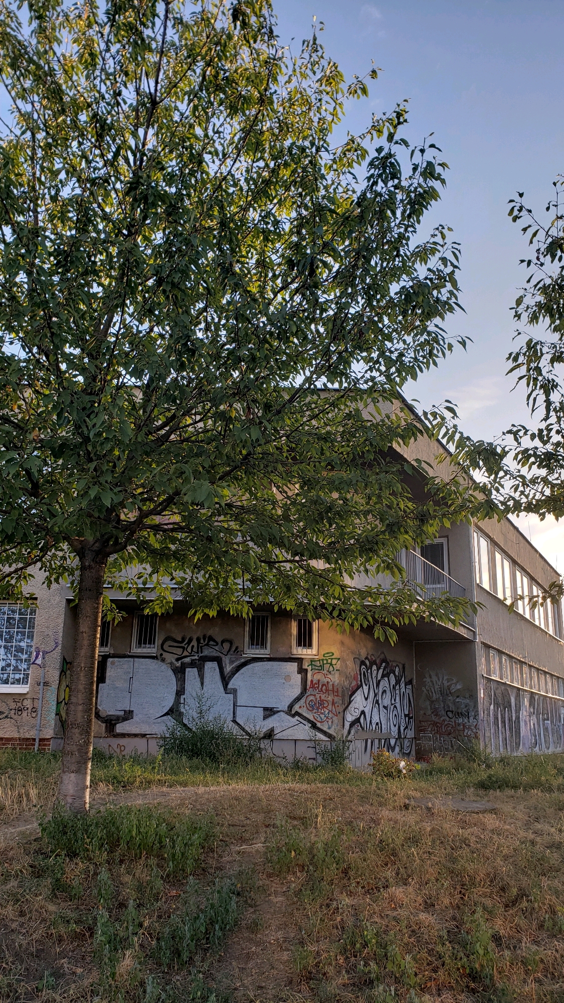 The image shows a building covered in graffiti, situated in an urban setting, possibly a park or undeveloped area, with a tree in the foreground. The building appears to be a multi-story structure with numerous windows. The graffiti is extensive, covering a significant portion of the building's facade. The environment around the building is overgrown with grass and weeds. The sky is visible in the background, indicating an outdoor scene. The overall impression is one of neglect and urban decay.