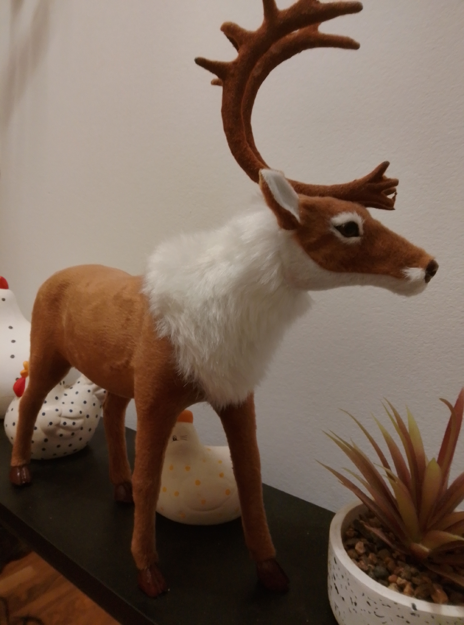 A taxidermy reindeer decoration stands on a dark shelf. The reindeer is brown with a white ruff around its neck and a brown velvet-like texture. It has prominent antlers, a white stripe over its eye, and dark eyes. To the left of the reindeer are two ceramic chicken decorations, one white with black polka dots and another white with yellow polka dots. To the right of the reindeer is a potted succulent plant with reddish-brown and yellow leaves. The background is a plain white wall. This image was taken indoors, on a shelf in a home in Wedel, Germany.