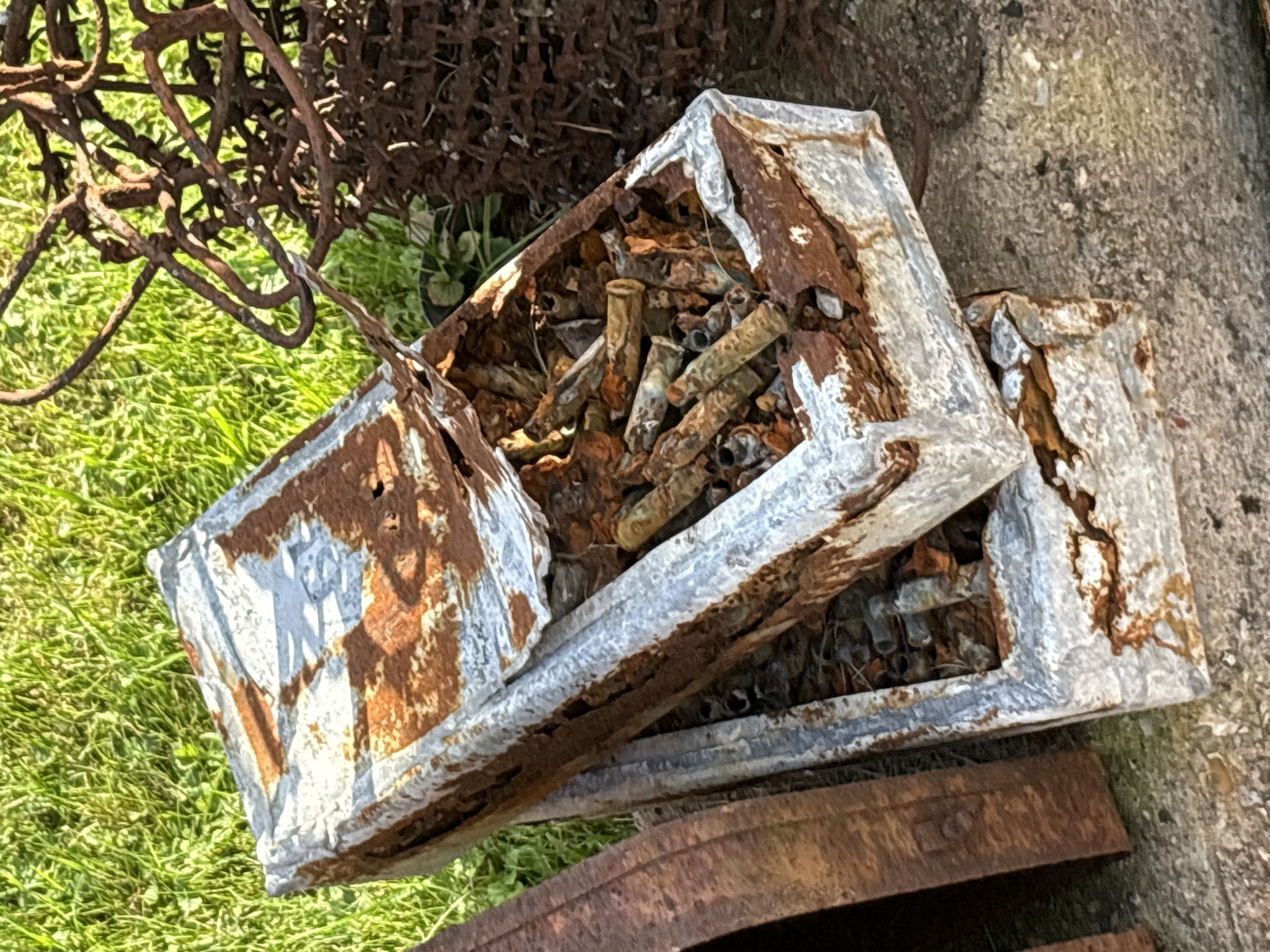 Two rusted metal boxes filled with spent shell casings are stacked on the ground. The top box is open and tilted, spilling some of its contents. The boxes are located outdoors on a surface of gravel and dry leaves, with green grass in the background. To the right of the boxes, a pile of rusted barbed wire is visible. To the left, a curved, rusted metal object is partially visible. The scene is set in the city of Zhalybnya, Russia.