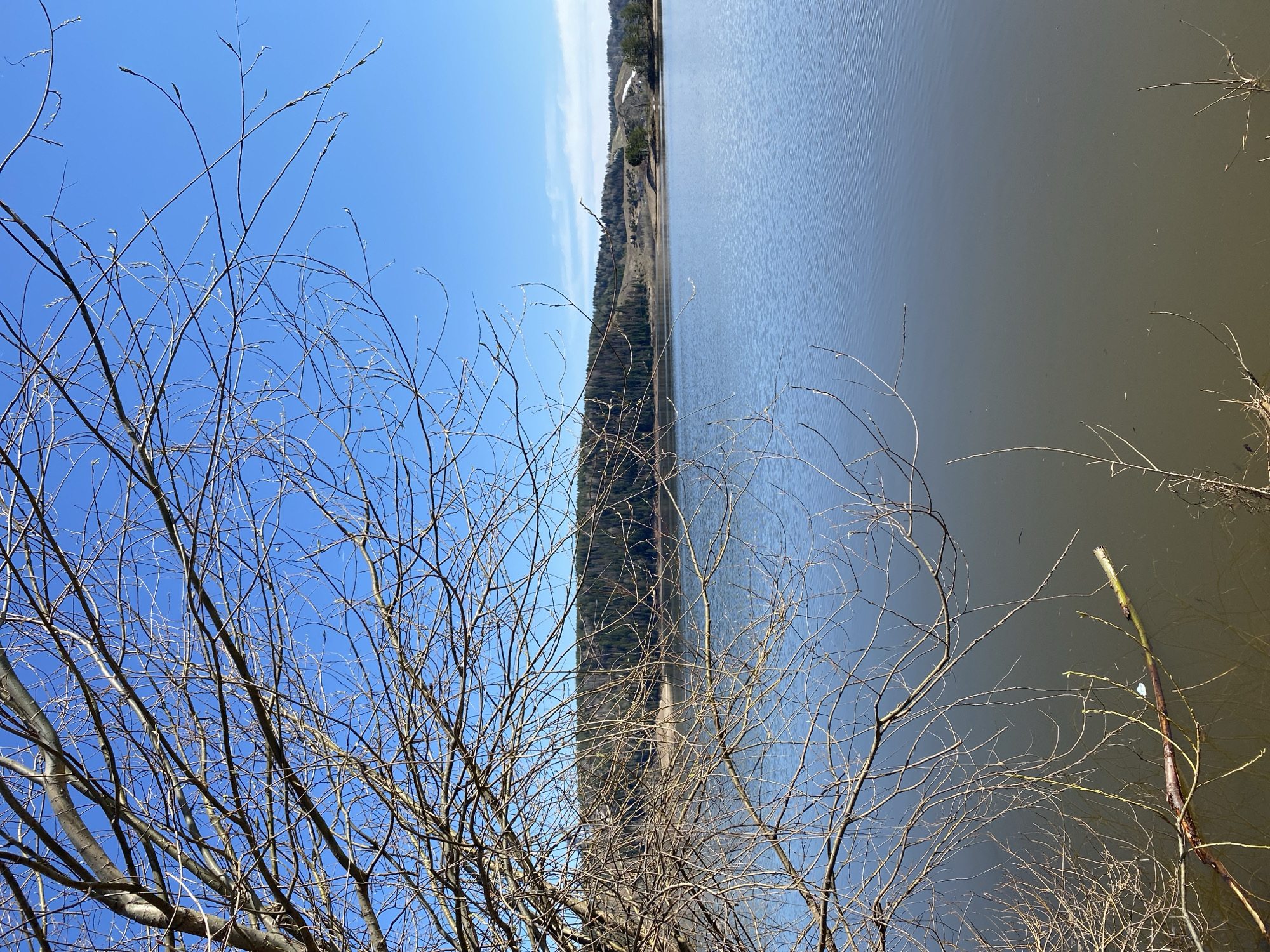 The image captures a landscape with a combination of natural elements. In the foreground, bare tree branches stretch upwards against a clear blue sky. The scene transitions to a body of water, likely a lake or river, with a distinct shoreline visible in the distance. The shoreline appears to be a combination of vegetation and possibly some structures. The image is inverted. The location is in or near Noviy, Russia.