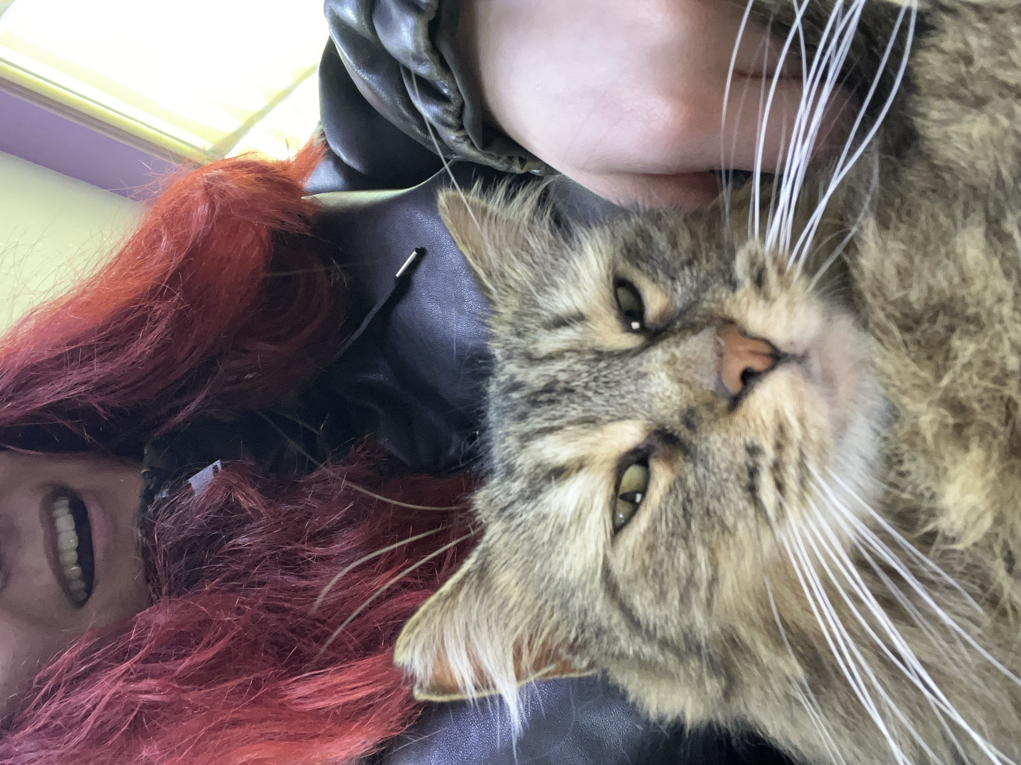 A close-up, upward-facing photograph shows a person with red hair, their face partially visible with an open mouth and visible teeth. They are wearing a dark, possibly leather jacket. Resting on the jacket is a tabby cat with green eyes and long white whiskers. The background includes a window with a light source. There is no information suggesting a location in Asenovgrad, Bulgaria.