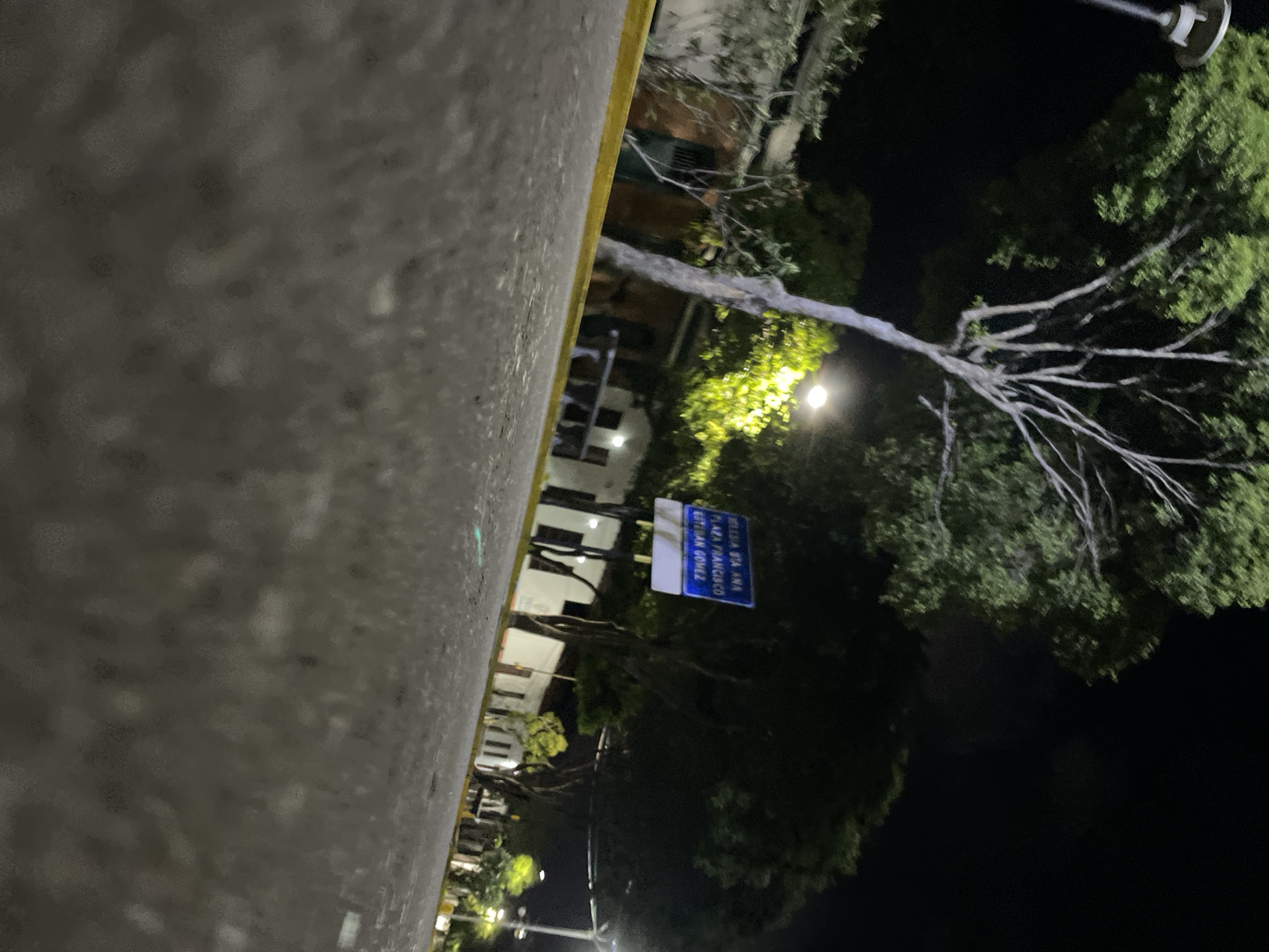 A ground-level, nighttime photograph captures a street scene in Santa Ana, Venezuela. In the foreground, a rough-textured asphalt surface dominates the lower portion of the frame, with a bright yellow line marking the edge of a road or sidewalk. Behind this, a tree with sparse green foliage and a thin, light-colored trunk stands prominently. Further in the background, several low-rise buildings with white facades and dark windows are visible. A blue street sign with white text is mounted on a pole, indicating directions to "IGLESIA STA ANA", "PLAZA FRANCISCO", and "GUTIZAN GOMEZ". Streetlights illuminate the area, casting a warm glow on the trees and buildings. The overall ambiance is quiet and dimly lit, typical of a small city at night.