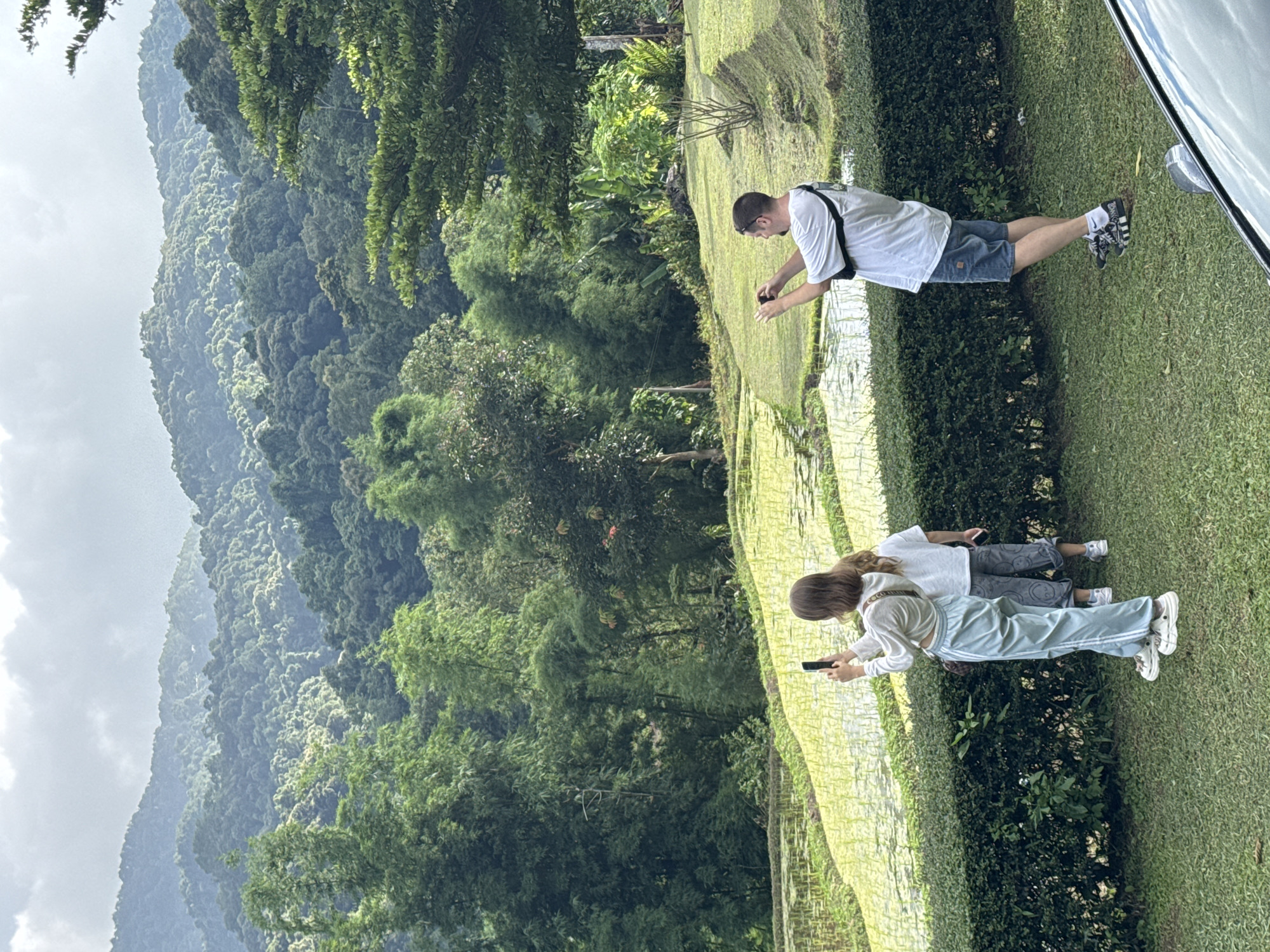 In the city of Ban Ang Ka Noi, Thailand, a group of three individuals are observed documenting a lush natural landscape. The scene unfolds on a grassy incline, with a meticulously manicured hedge serving as a visual divider. Beyond the hedge, vibrant green rice paddies stretch out, reflecting the overcast sky. The background is dominated by a dense forest of verdant trees, cascading up the slopes of mist-shrouded mountains.
Two individuals, a woman and a child, stand near the hedge, both holding smartphones and engaged in taking photographs. The woman, wearing a light-colored top and light blue track pants, is positioned in the foreground. Behind her, a child in a white t-shirt and patterned pants is also holding a phone. A man, dressed in a white t-shirt, denim shorts, and athletic shoes, stands to the right, also holding a phone up as if to capture an image. His body is turned towards the landscape, with sunglasses resting on the back of his head. The overall atmosphere is one of serene appreciation for the natural beauty of the location.