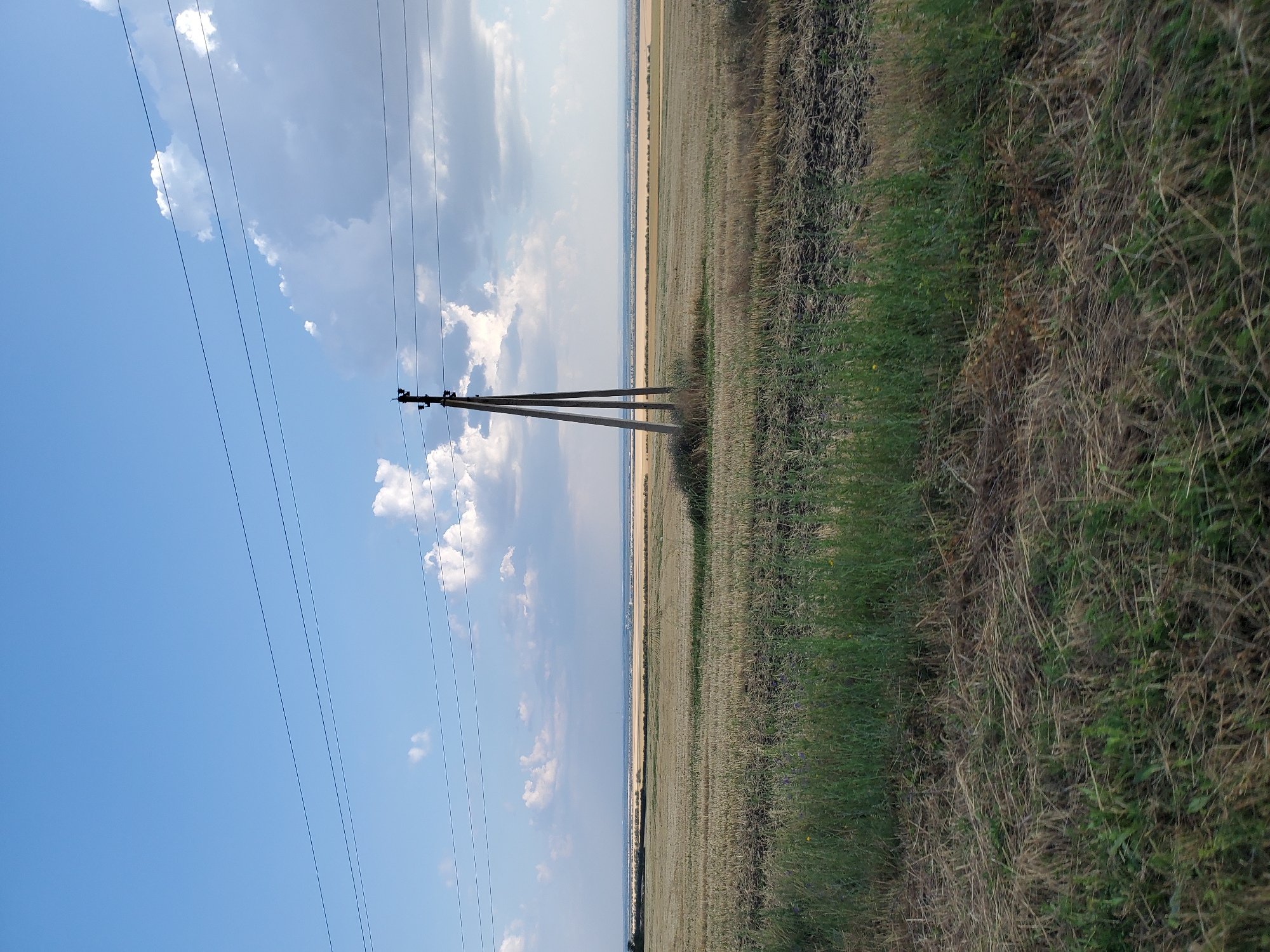 The image shows a wide agricultural field under a partially cloudy blue sky. In the foreground, there is tall green grass and dry, straw-like vegetation. The field itself appears to be harvested, with stubble visible. A wooden utility pole with insulators and wires stands in the middle ground, supporting overhead power lines that stretch across the frame. In the distance, there is a flat horizon line with more fields and a faint appearance of buildings or structures. The scene is devoid of people and any discernable human activity. The overall impression is one of a rural landscape in Moldova, likely near the village of Uyutnoye, given the agricultural setting and the presence of power lines.