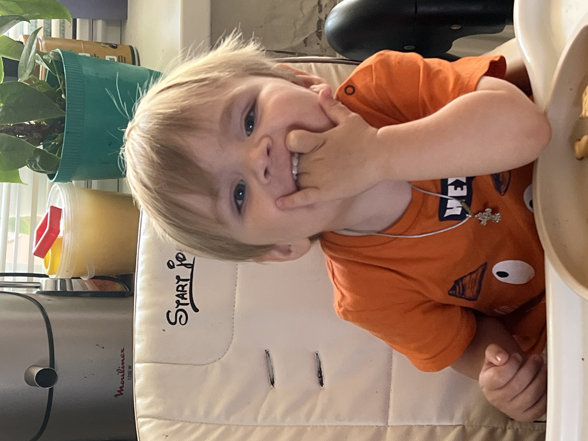 A young Caucasian child with blonde hair is seated in a high chair, wearing an orange t-shirt with a cartoon character graphic and a silver cross necklace. The child is holding a finger in their mouth and appears to be smiling. The high chair has a cream-colored padded seat with stitched details and a black side support. In the background, a silver juicer with the brand "Moulinex 1200 W" is visible, along with a plastic container filled with a yellow liquid, a green plant pot with a plant, and a windowsill. The scene appears to be indoors, possibly a kitchen or dining area. The location is specified as Noviy, Russia.