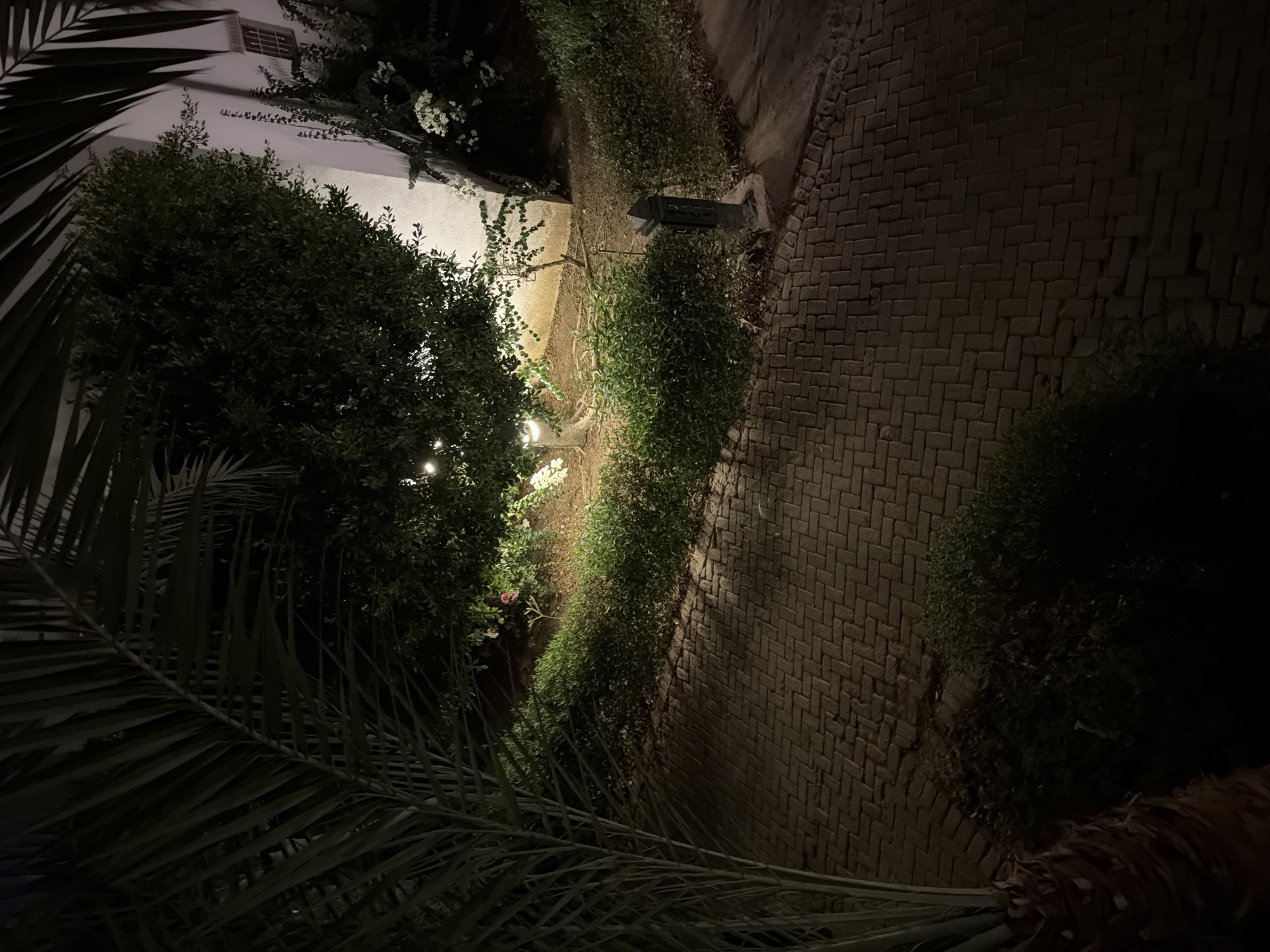 The image captures a nighttime scene in Sharm El Sheikh, Egypt, featuring a paved walkway made of reddish-brown interlocking bricks laid in a herringbone pattern. To the left, a large palm frond with dark green leaves dominates the foreground, partially obscuring the view. Beyond the walkway, a manicured green hedge runs parallel. In the background, a white building with a window is visible. A lush green tree is illuminated by soft outdoor lighting, casting shadows. Scattered pink and white flowers are visible amongst the greenery. A dark metal post with a pointed top stands near the hedge. The overall ambiance is that of a serene, dimly lit outdoor space.