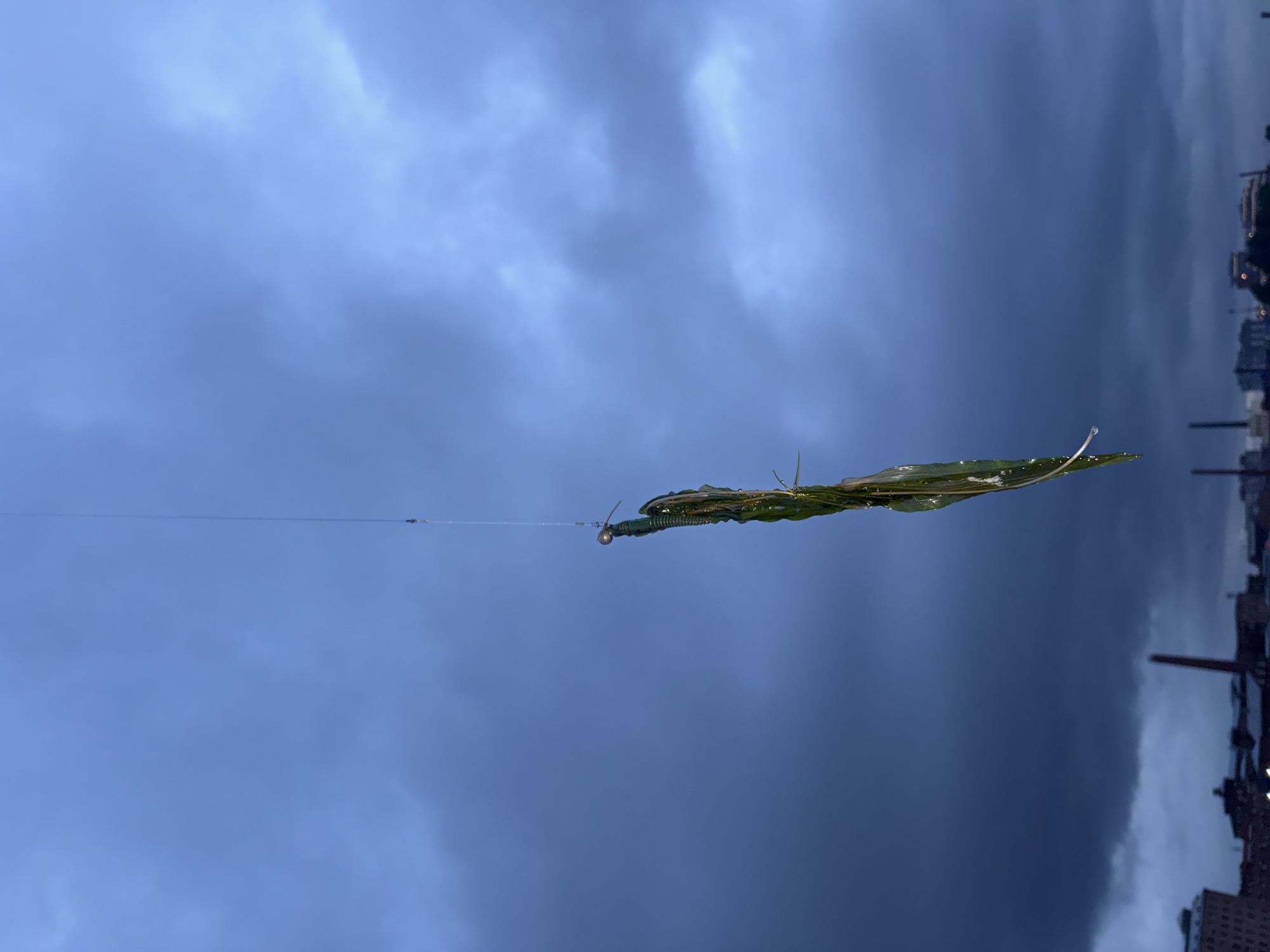 A close-up, low-angle shot captures a fishing lure with greenery dangling from a fishing line against a dark, cloudy sky. The lure, a green, segmented plastic worm, is attached to a hook and sinker. The bottom of the image shows a blurred cityscape with industrial buildings and smokestacks, consistent with a view of Saint Petersburg, Russia, likely near the Neva River or the Gulf of Finland. The lighting suggests either dusk or an overcast day.