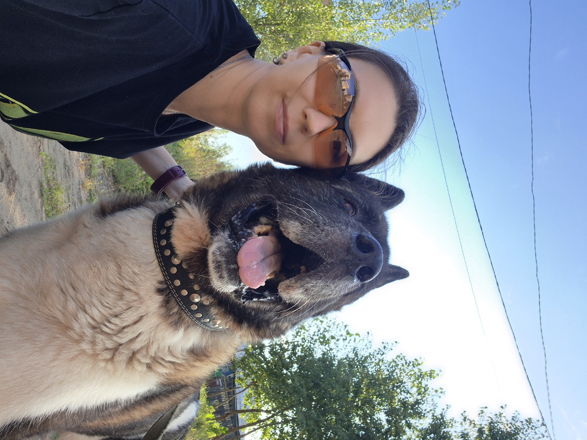 A woman with dark hair and orange tinted sunglasses is taking a selfie with a large dog. The woman is wearing a black t-shirt and a silver necklace. The dog, which appears to be an Akita or similar breed, is wearing a studded black collar and has its tongue out. They are outdoors with a blue sky and trees in the background. The scene appears to be in a rural or suburban area with a dirt path visible. The location is identified as Chaikovsky, Russia.