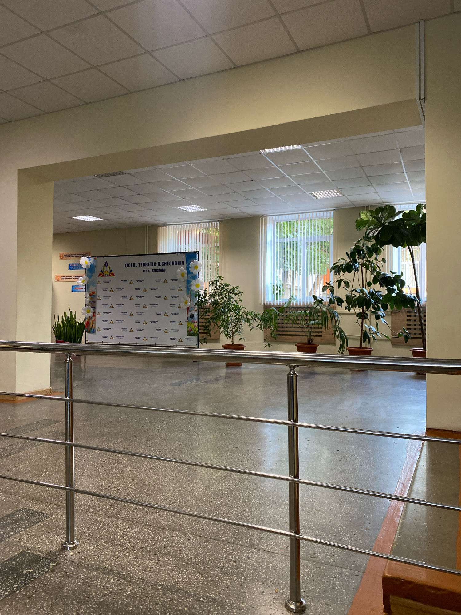 The image depicts an indoor hallway, likely in a school or institutional building, with a large backdrop banner and several potted plants. The backdrop banner features text in Romanian, identifying it as "LICEUL TEORETIC N.GHEORGHIU" and "mun. CHIȘINĂU," indicating its location in Chișinău, Moldova. The banner is decorated with a repeated triangular pattern and is flanked by white balloons resembling flowers and a football graphic on the right.
In the hallway, multiple large potted plants are arranged along a wall with windows. The windows are covered by vertical blinds and offer a glimpse of greenery outside, suggesting an exterior view of trees. The flooring is a terrazzo-style material, with a polished surface reflecting the overhead fluorescent lighting. A metal railing with chrome posts and horizontal bars runs across the foreground, separating the viewer from the main area of the hallway. The walls are painted in a light, neutral color, and the ceiling is a standard drop ceiling with square tiles and integrated light fixtures. There are no people visible in the image.