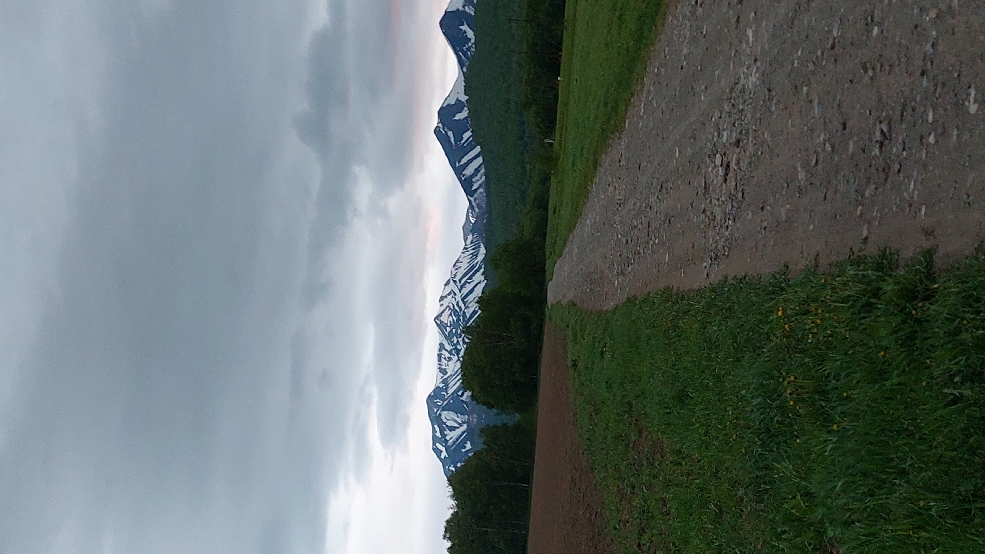 The image depicts a rural landscape with a dirt road leading towards a mountain range in the distance. The sky is overcast and cloudy, with a hint of pinkish light on the horizon. The mountains are snow-capped, with dark green forests covering their lower slopes. In the foreground, there is a field of brown soil to the left, and a grassy area with some yellow wildflowers to the right of the road. The road itself is unpaved and appears to be made of gravel and dirt. The scene suggests a natural, undeveloped environment, likely outside of a populated area. The image does not contain any people or specific urban features that would identify it as being in the city of Lesnoi, Russia.