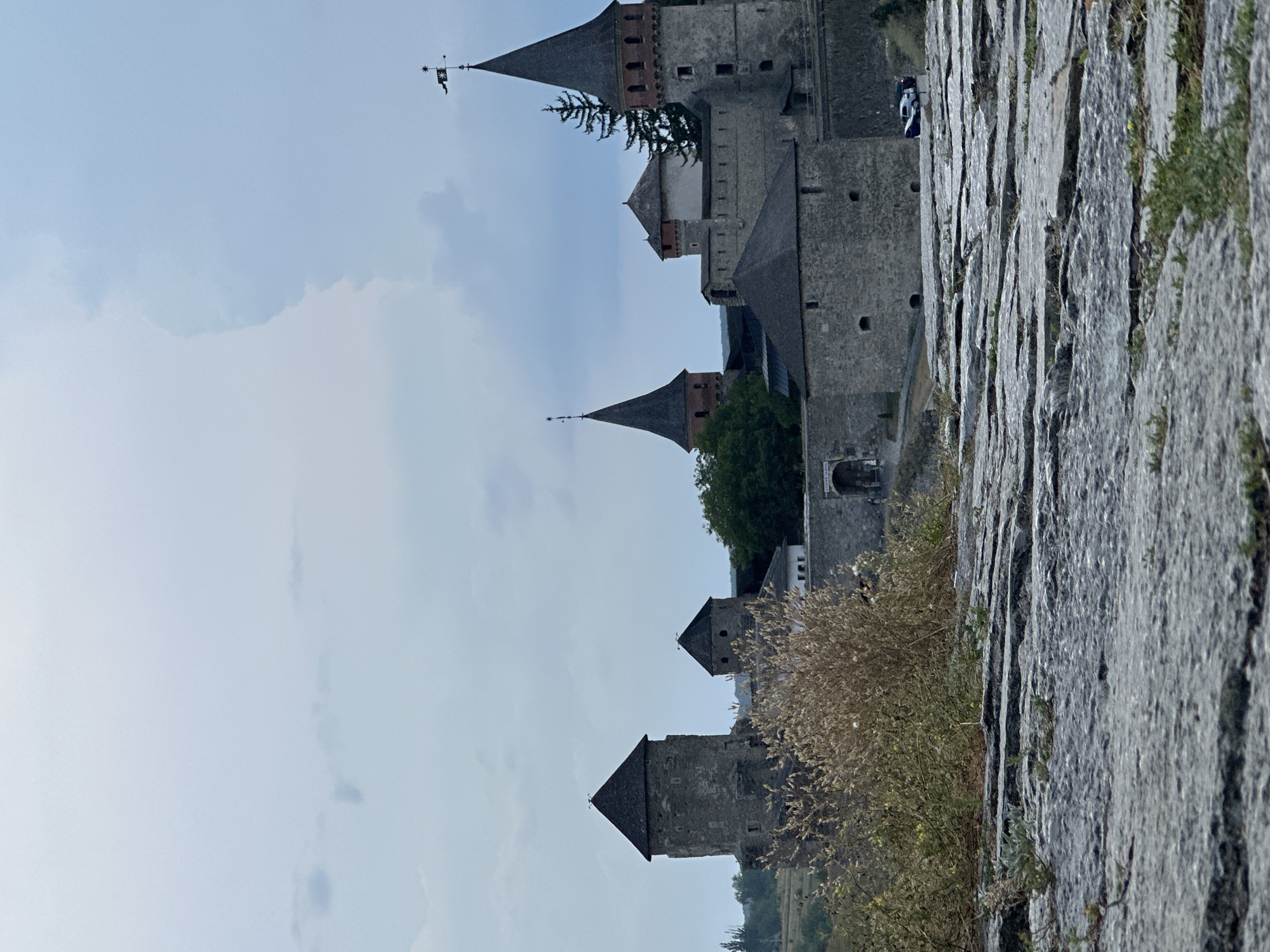 The image depicts a view of the Kamianets-Podilskyi Castle in Kamianets-Podilskyi, Ukraine. The castle is a prominent stone structure with several towers, some featuring conical roofs. In the foreground, a rough, textured stone surface is visible, with sparse dry vegetation growing from it. Behind the foreground, the castle complex is seen, with various stone walls and buildings. A large, bushy plant with dry, straw-like stalks is positioned on the left side of the image, obscuring part of the lower castle structure. Several distinct towers with pointed roofs rise from the castle. One tall tower on the far right is topped with a flag. The sky is overcast with clouds, and there are some trees visible in the background. A paved path leads to an arched entrance in the middle ground, and a couple of vehicles are parked on a road to the right of this entrance. The overall impression is of a historical fortification under a cloudy sky.