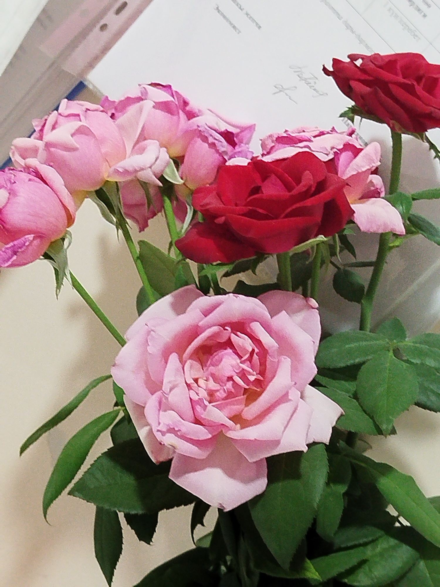 This is a close-up, eye-level, medium shot photograph of a bouquet of roses. The bouquet is arranged with a large, light pink rose in the foreground, slightly off-center to the right. Behind it, there are several other roses, predominantly in shades of pink and red, with varying degrees of bloom. Some roses are fully opened, revealing their intricate petal structures, while others are still in bud. Green leaves and stems are visible throughout the arrangement, providing a natural contrast to the flowers. The background is out of focus and appears to be a light-colored wall or surface, with some faint text visible on what might be paper documents positioned behind the bouquet. The lighting is soft, highlighting the delicate textures of the rose petals. There are no people or animals present in the image. The scene is static and domestic in nature. The image does not provide any information that would allow for the determination of its location in the city of Kadamjay, Kyrgyzstan.