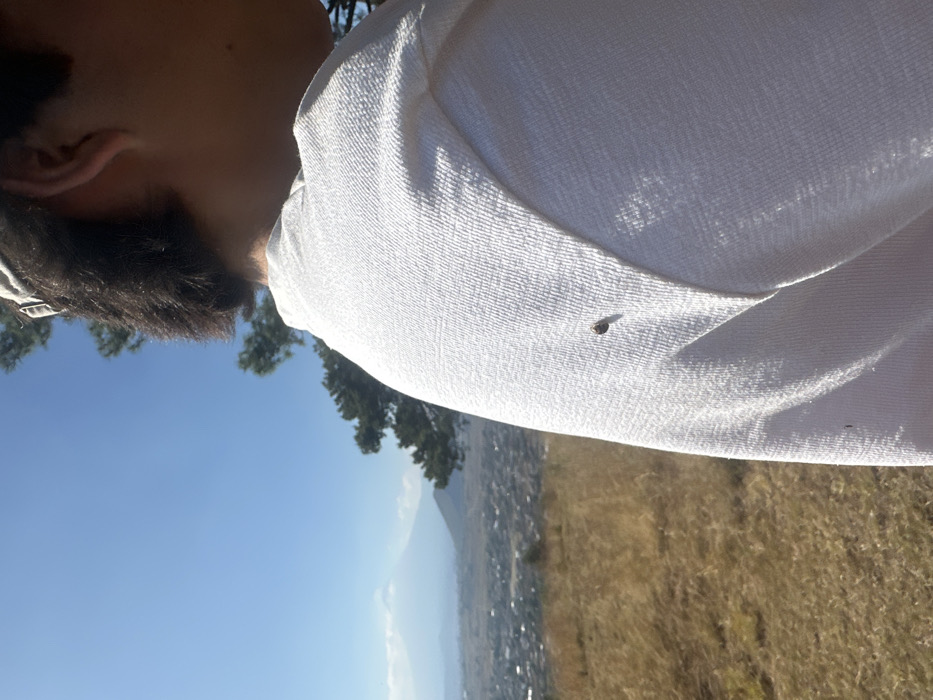 A person wearing a white shirt stands outside, facing away from the camera. The shirt's texture is visible. A small, dark insect rests on the shirt's shoulder area. The background reveals a landscape with dry grass in the foreground. Further away, a town or city stretches toward a distant mountain range under a blue sky with scattered trees.