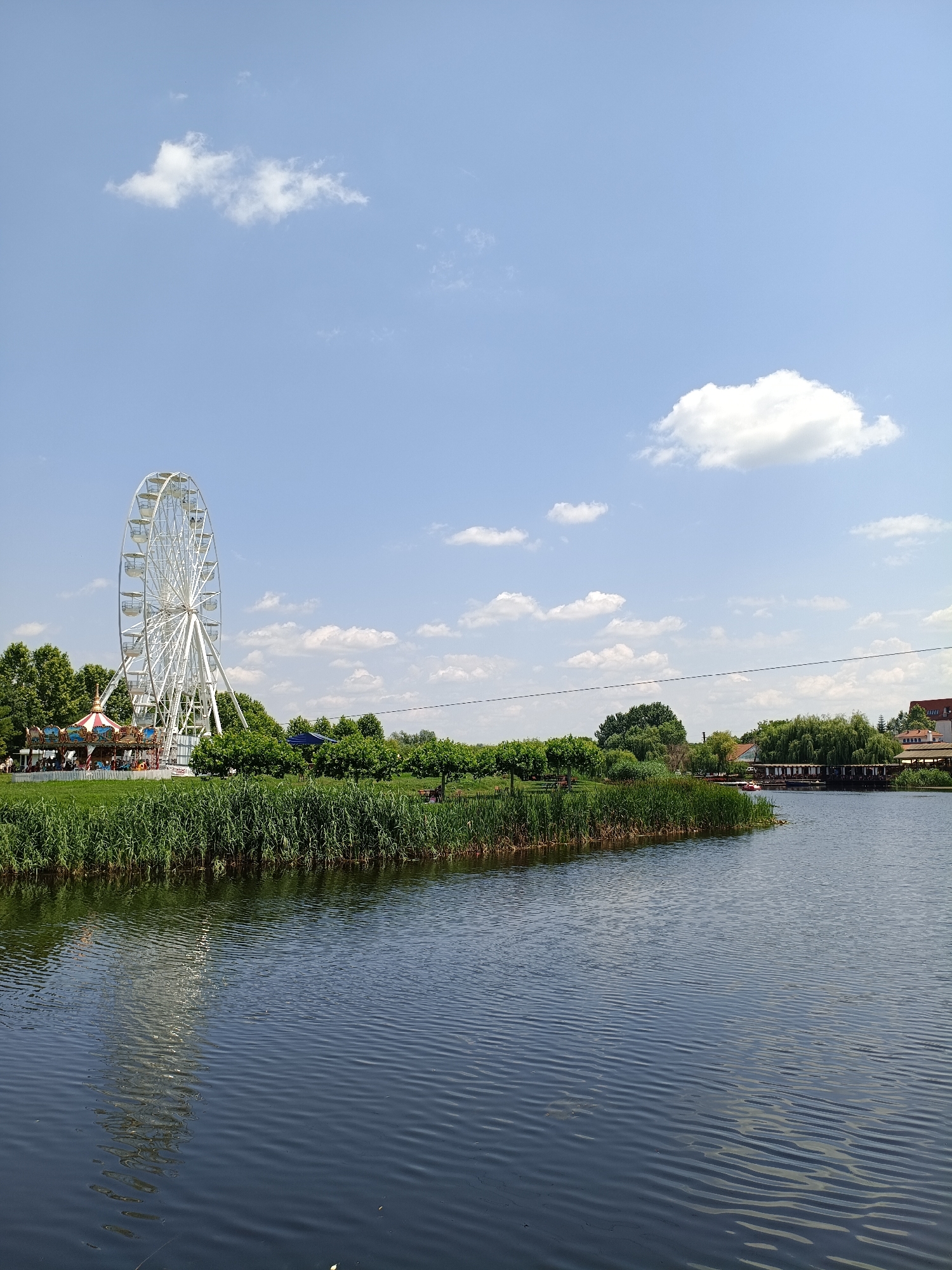 This image captures a sunny day at an amusement park situated on the bank of a lake in Comana, Romania. A large white Ferris wheel dominates the left side of the frame, with a colorful carousel visible beneath it. The park is surrounded by lush green trees and tall reeds that line the edge of the dark blue lake. The water's surface is rippled, reflecting the bright sky and some of the park's structures. In the background, buildings with red roofs can be seen, suggesting the presence of more structures within the park or in the surrounding area. The sky is a clear blue, dotted with a few fluffy white clouds.