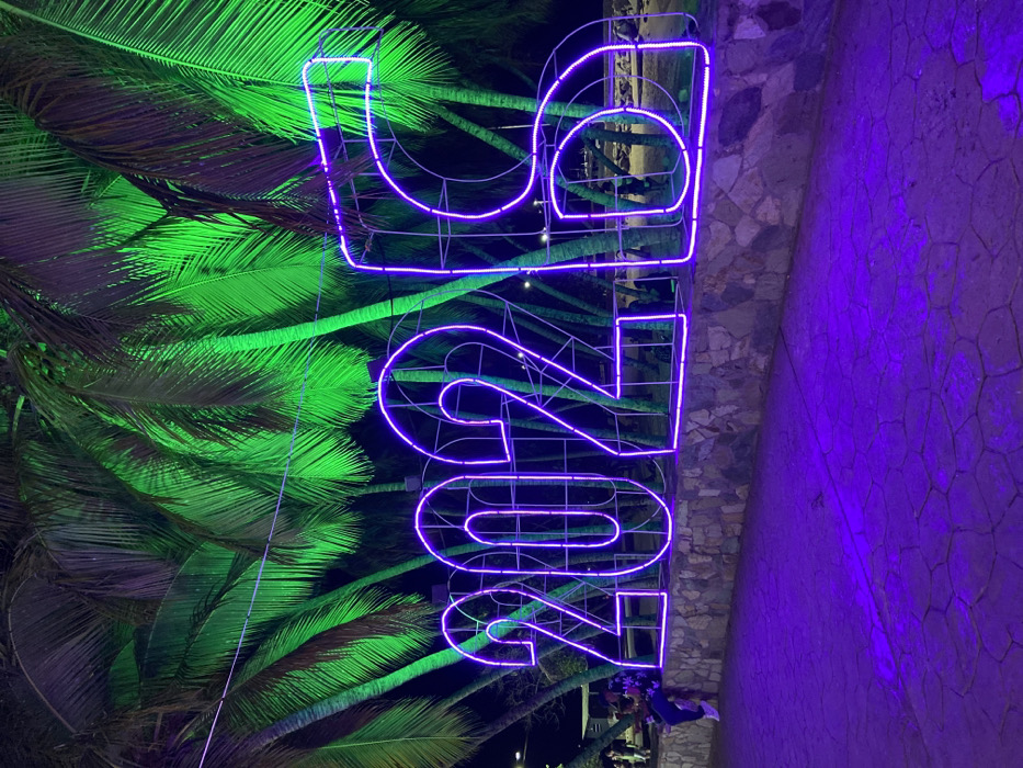 A vertically oriented photo displays an illuminated purple "2024" sign, constructed with a framework of lights. The sign stands in front of palm trees, which are lit with green light, creating a contrasting background. To the right, a stone wall reflects purple light. The image is taken at night, with the darkness accentuating the brightness of the lights and the structure's outline.