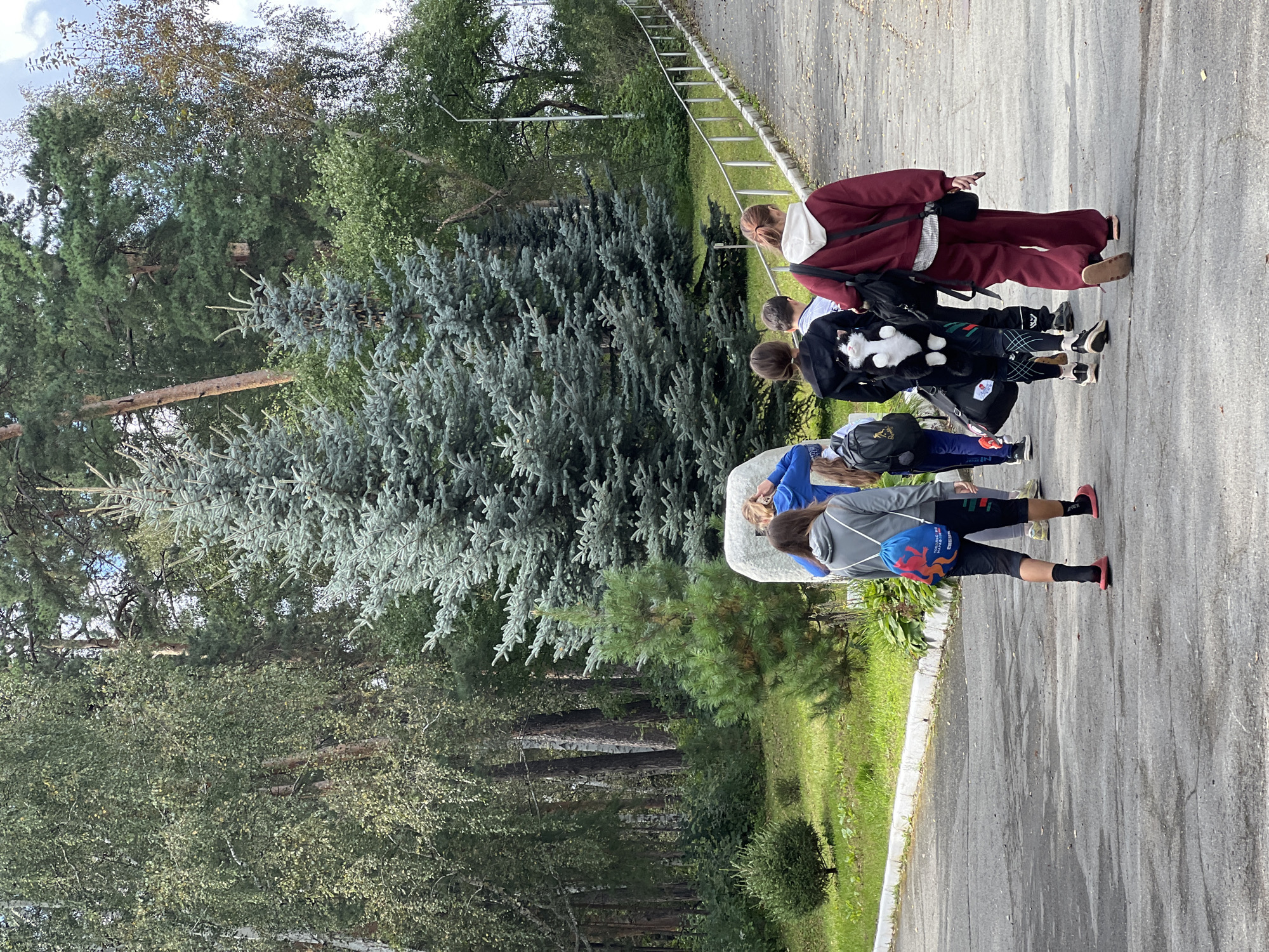 The image depicts a group of five young people, four female and one male, walking away from the camera on a paved pathway bordered by a grassy area and trees. The pathway curves to the right and ascends a slight incline, with a metal railing visible along the right side. The environment appears to be a park or an outdoor recreational area, characterized by a variety of trees, including tall evergreens and deciduous trees. A large, grey, rough-hewn stone stands in the grassy area to the left of the path.
The individuals are dressed in casual clothing. One girl in the foreground on the left wears a grey hoodie, black shorts, black socks, and pink slides. She carries a blue backpack with colorful designs. Next to her, a person wearing a black hoodie and patterned leggings walks with a stuffed cat backpack. To their right, another person in a red tracksuit with a white hoodie underneath is visible. The two individuals furthest to the right are partially obscured.
The scene is set outdoors on a cloudy day, with natural light illuminating the area. The presence of paved pathways and maintained greenery suggests a public space within a city. Given the context provided about Kyshtym, Russia, it is plausible this scene is located in a park or a similar public area within the city.