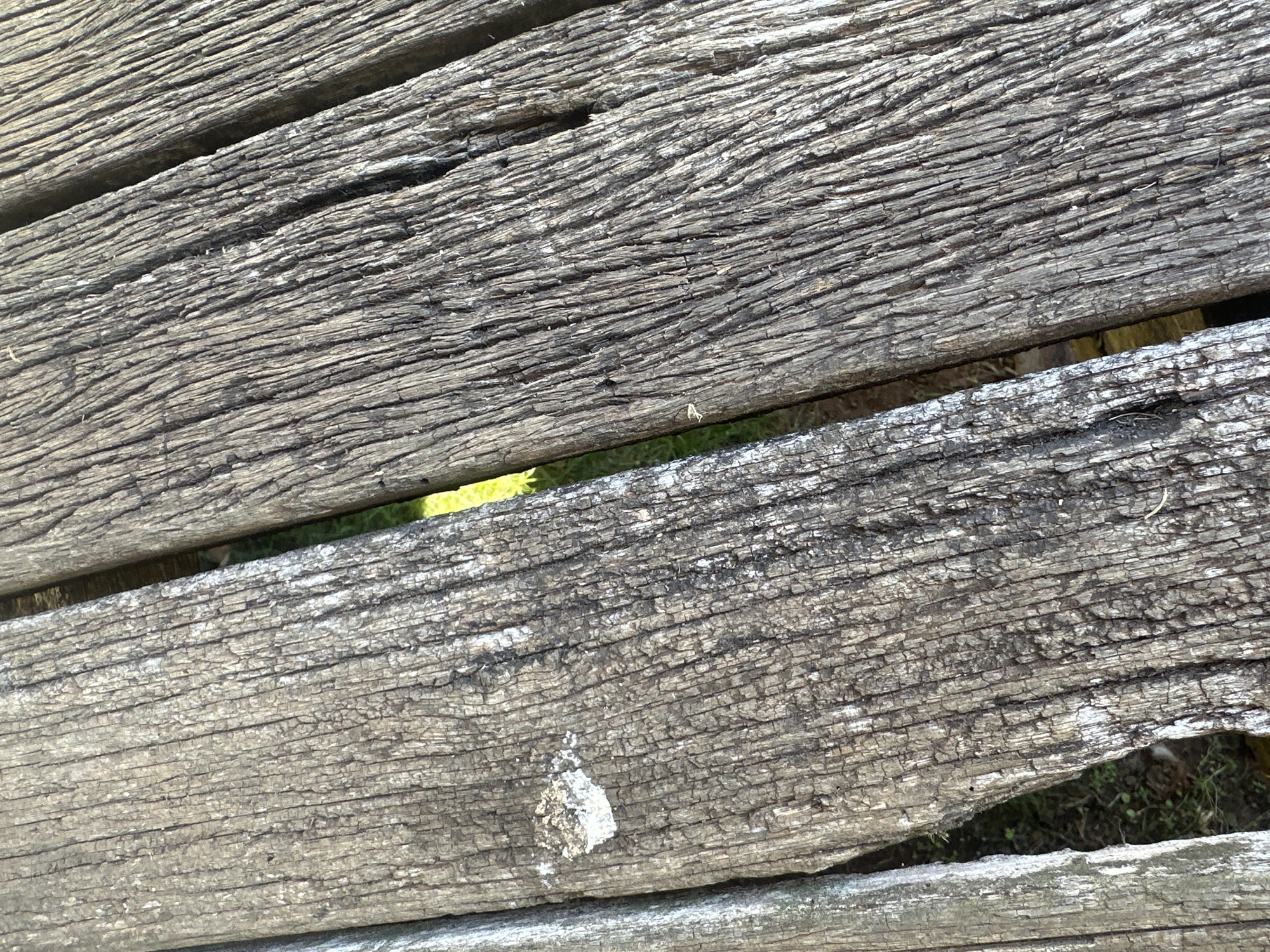 The image shows a close-up view of weathered wooden planks, likely part of a deck or outdoor seating area. The wood is gray and appears to have a rough, textured surface with visible grain and cracks. There is a gap between two of the planks, revealing a glimpse of green grass and some lighter green foliage below. A small patch of white material, possibly paint or a fungus, is visible on the left-most plank. The lighting suggests it is daytime, with shadows cast by the texture of the wood. The scene is devoid of any people, animals, or other objects, focusing solely on the natural weathering of the wood. The location of this scene within the city of Thora, Australia, is not discernible from the image itself.
