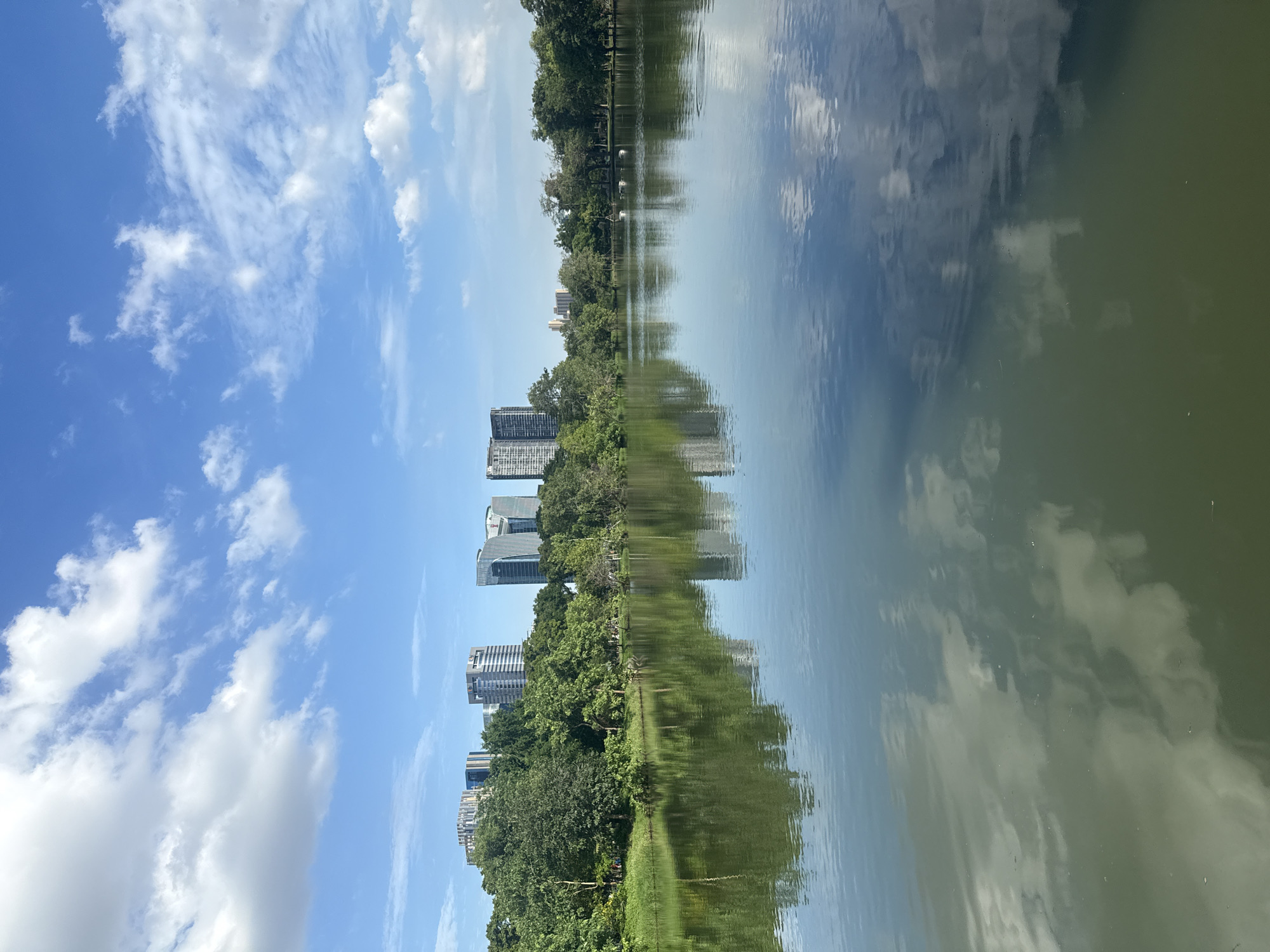 This image captures a serene view of a lake in Lumpini Park, Bangkok, Thailand. The water's surface reflects the bright blue sky dotted with fluffy white clouds, creating a mirror image of the heavens. Lush green trees line the banks of the lake, their foliage dense and verdant. Beyond the trees, modern skyscrapers rise into the sky, their glass facades catching the sunlight. The buildings are of varying heights and architectural styles, showcasing the contemporary urban landscape of Bangkok. The overall scene conveys a sense of tranquility and the harmonious coexistence of nature and the cityscape. There are no people or animals visible in this particular frame.