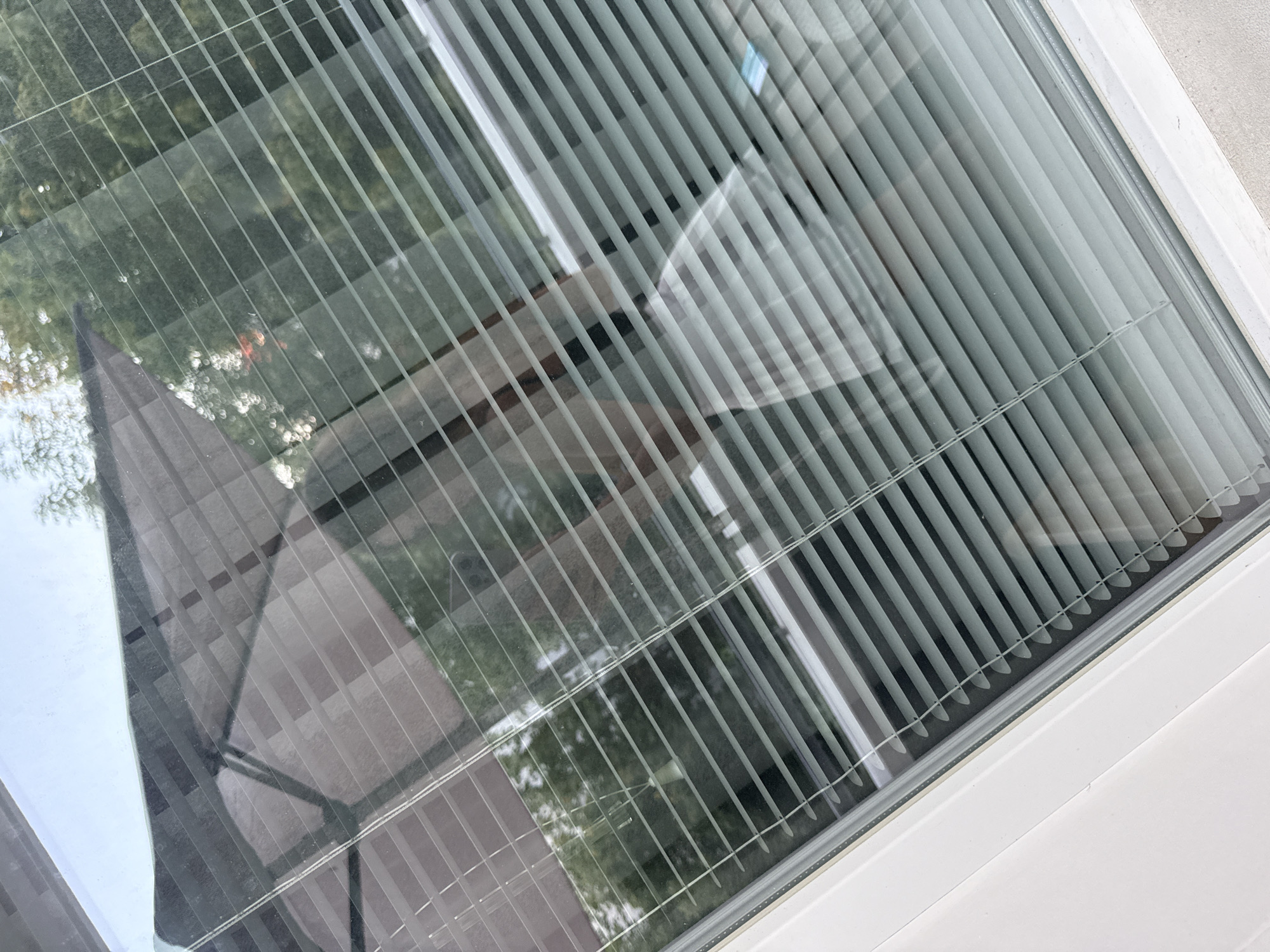 The image shows a window with Venetian blinds. Through the blinds and reflection on the glass, an outdoor scene with trees and a part of an umbrella is visible. There is also a reflection of a person wearing a white shirt. The image is taken from inside a room, looking outwards. The specific location in the city of Plovdiv, Bulgaria cannot be determined from the image.