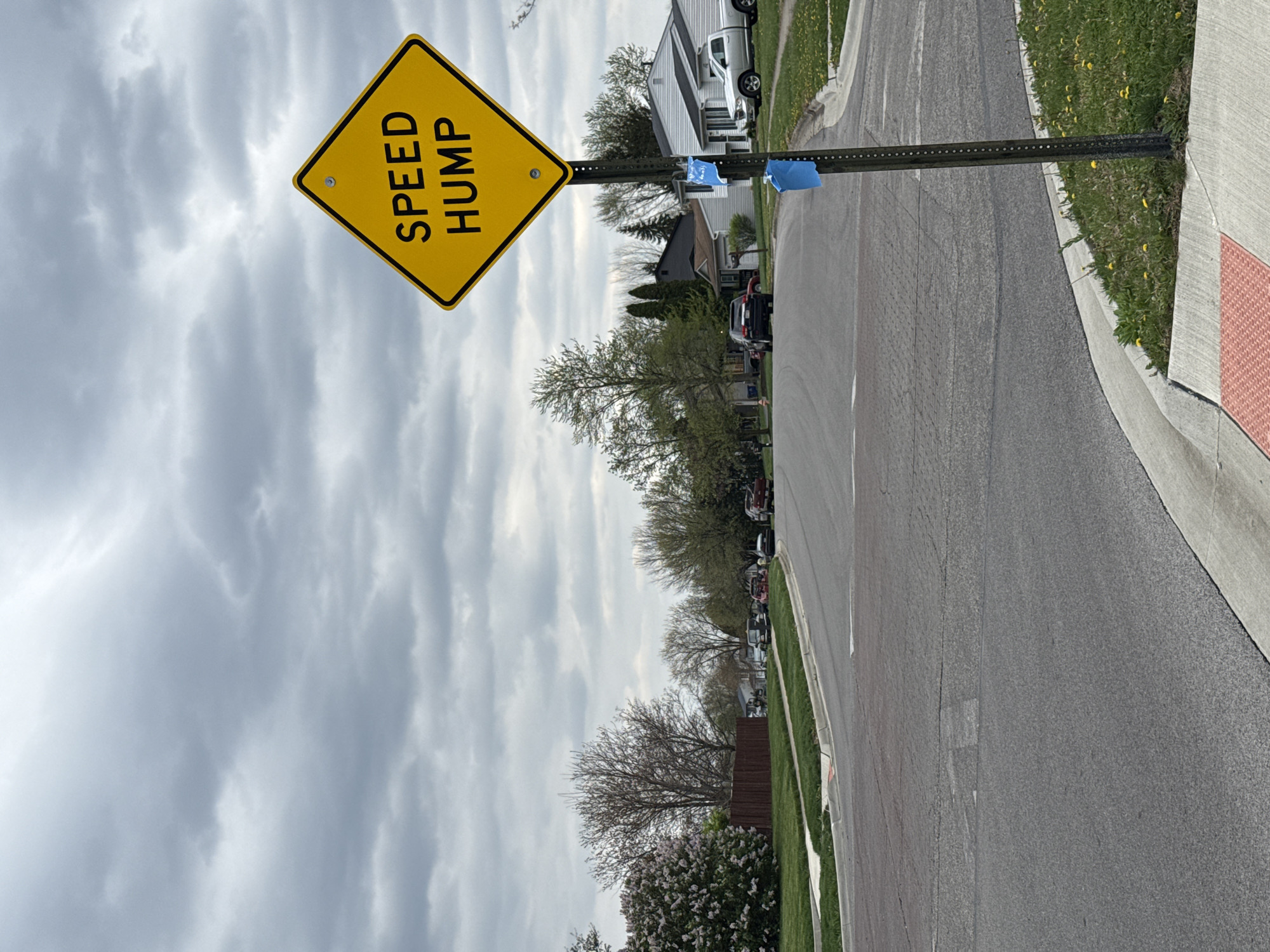 The image shows a yellow diamond-shaped "SPEED HUMP" sign on a metal pole beside a street in a residential area. The road curves slightly to the right, with grass and dandelions growing along the edge. Houses and parked cars are visible in the background. The sky is cloudy. This scene may be located in Columbus, Ohio, due to the prompt's inclusion of Columbus, United States of America.