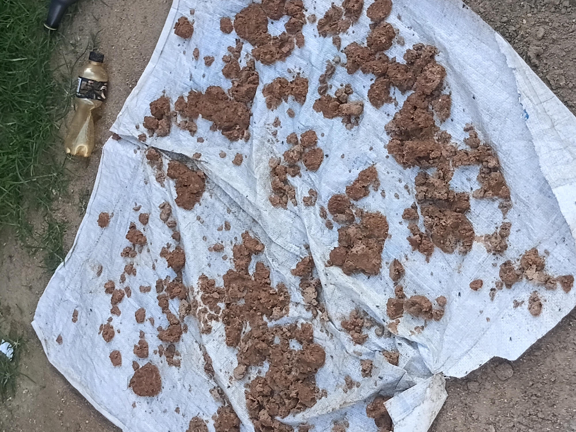 In the city of Jalingo, Nigeria, a close-up, top-down view captures a section of a white tarp laid on the ground. The tarp is covered with scattered clumps of reddish-brown soil. To the right and in the background, beyond the tarp, is an empty, crumpled plastic bottle lying on the dirt and grass. A dark object, possibly a pipe or hose, is visible further to the right. The scene appears to be outdoors, with hints of dry ground and sparse green grass.
