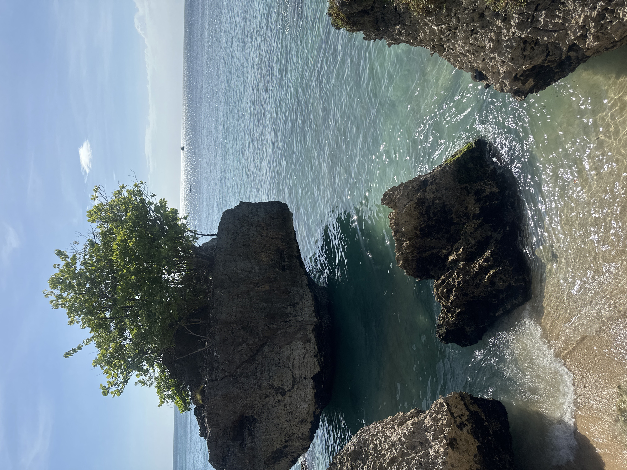 The image depicts a coastal scene likely located in Kuta Selatan, Indonesia, given the typical geographical features of the area. Dominating the foreground are rugged, dark grey rocks emerging from the turquoise water. The rocks are textured, with some covered in patches of green moss or vegetation. A small tree or shrub with vibrant green leaves grows atop the largest rock formation. The water is clear, with sunlight reflecting off its surface, creating shimmering patterns. Gentle waves wash onto a narrow strip of light beige sand visible in the lower right corner. In the distance, the horizon is defined by a line where the water meets a bright, partly cloudy sky. A small boat or ship can be discerned on the horizon. The overall impression is of a natural, rocky beach scene with calm waters.