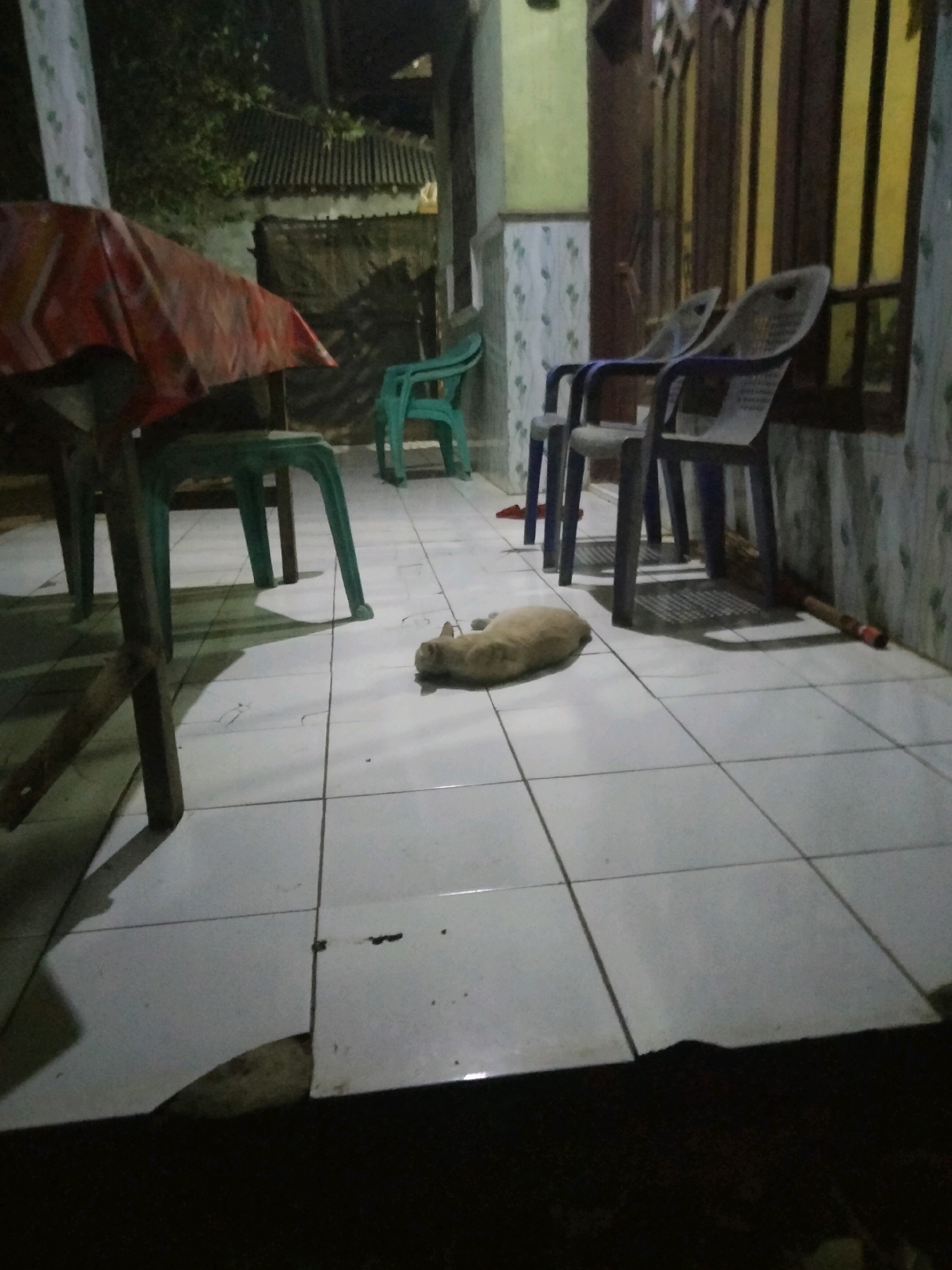 A ginger cat is sleeping on a tiled floor in what appears to be an outdoor seating area. To the left, there is a wooden table covered with a red and orange patterned cloth. Behind the table, a green plastic chair is visible. Further back, there are two grey plastic chairs. The area seems to be attached to a building with striped vertical accents. The scene is dimly lit, suggesting it is nighttime or indoors with low light. The location is identified as Suka Sari, Indonesia.