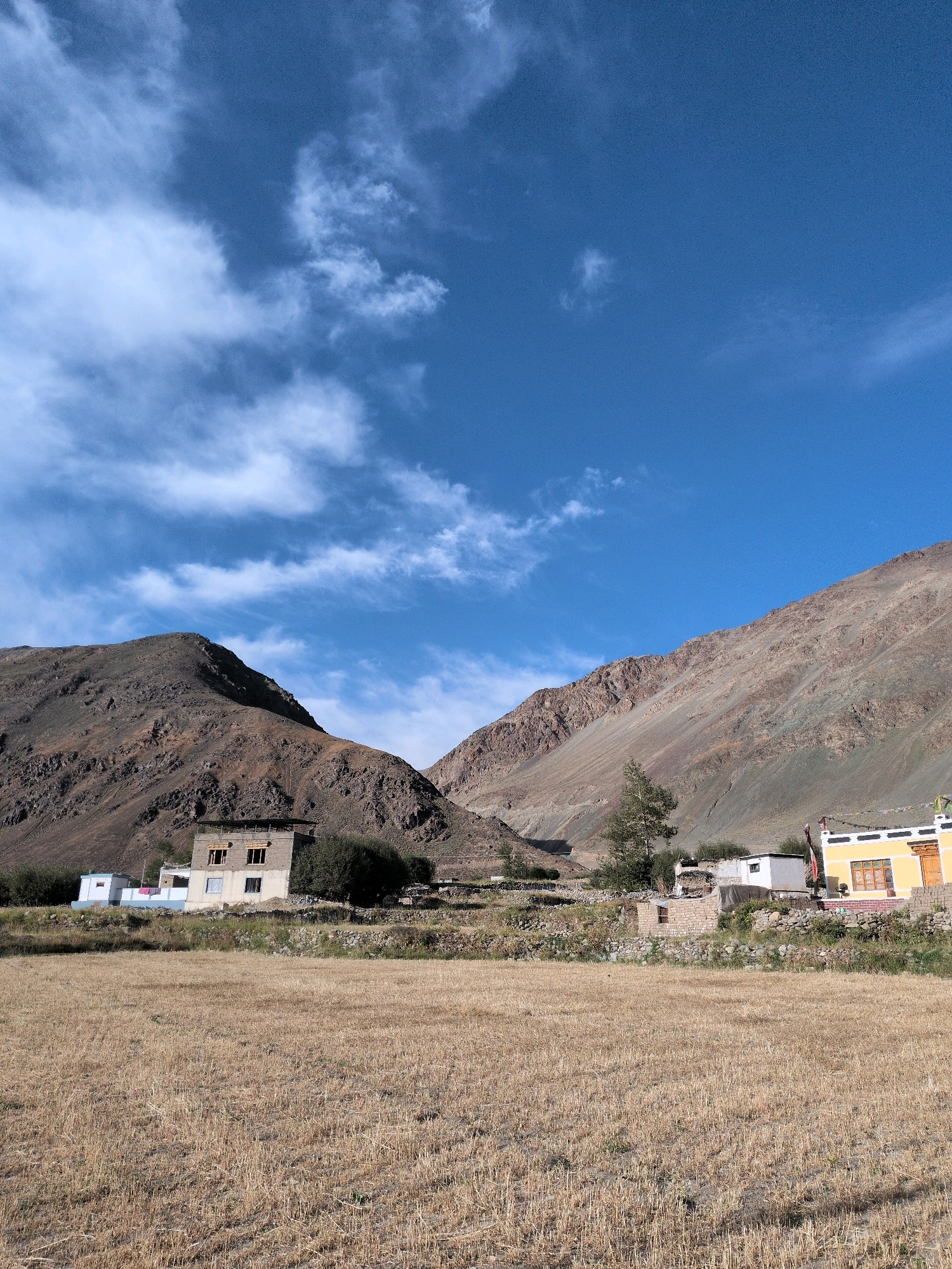 The image depicts a dry, harvested field in the foreground, with stalks of wheat or similar crops scattered across it. In the middle ground, a cluster of buildings is visible, nestled at the base of barren, rocky mountains. One prominent building is a multi-story structure made of brick and concrete, with several windows. To its right, a smaller, brightly painted yellow building with a white trim and a red-tiled roof stands out. Other smaller structures and stone walls are also present. A single, tall tree with sparse foliage grows near the yellow building. The background is dominated by the imposing, rugged slopes of the mountains, showing signs of erosion and varying shades of brown and grey. The sky above is a clear, vibrant blue, with a few wispy white clouds scattered across it. The scene suggests a rural or semi-arid environment, possibly in a high-altitude region, given the arid landscape and the style of the buildings. The location is identified as Skidmang, India. No people are visible in the image.
