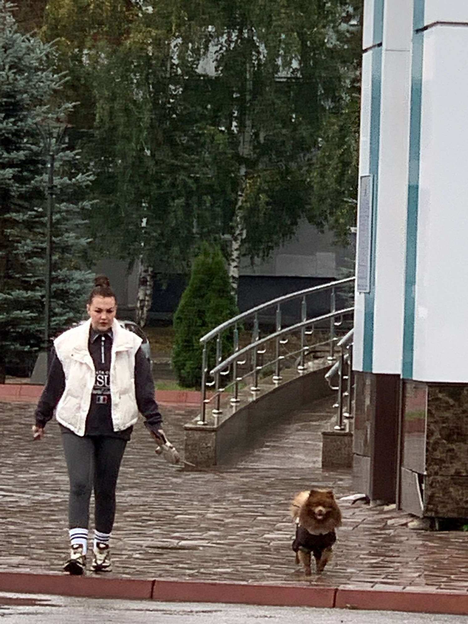 A woman and a small dog are walking on a wet, paved sidewalk in an outdoor urban environment. The woman is wearing a dark long-sleeved shirt, a white vest, dark leggings with white striped socks, and athletic shoes. She has her hair pulled back in a bun and is holding a leash attached to the dog. The dog is a fluffy, brown Pomeranian wearing a dark-colored coat. Behind the woman, a curved metal railing with vertical posts leads up an incline. In the background, there are trees and a modern building with white and teal accents. The ground appears to be made of brick-like pavers and is wet, suggesting it may have recently rained. The scene is located in the city of Prokopyevsk, Russia.