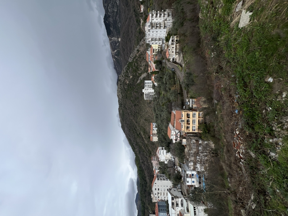 The image displays a panoramic view of Rafailovići, Montenegro, situated on a hillside beneath an overcast, gray sky. The foreground consists of an unkempt slope covered with dry brush, green weeds, and scattered debris including construction waste and plastic. The mid-ground reveals a densely built residential area featuring numerous multi-story buildings. These include white or light-colored apartment blocks, typically 3-6 stories high with balconies, interspersed with older structures characterized by orange-tiled pitched roofs. A prominent three-story yellow building with multiple balconies is visible in the lower-middle residential section. Olive trees with their characteristic silver-green foliage are abundant, growing among and between the buildings. A winding paved road is visible, with one dark-colored car present on it in the mid-right. In the background, steep hills covered with sparse vegetation transition into larger, darker mountains, the peaks of which are partially obscured by low-hanging clouds. No individuals are visible.
