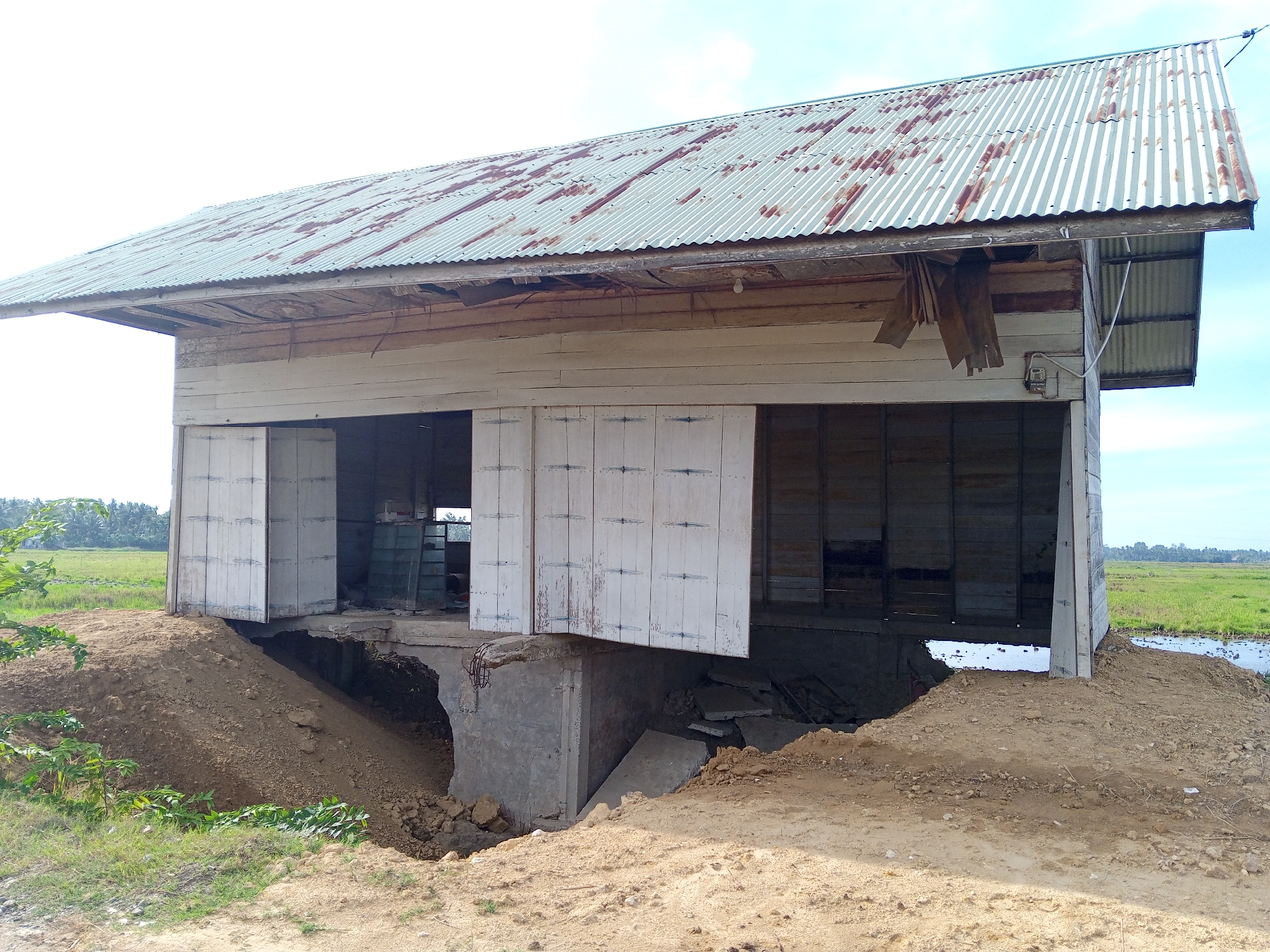 This image depicts a single-story, elevated wooden structure with a corrugated galvanized metal roof, located in Tumpokbeurandang, Indonesia. The roof shows extensive rust and weathering. The exterior walls are constructed from horizontal wooden planks, painted a faded white, with visible wear and tear. Multiple multi-panel wooden shutters or doors, also painted white and showing distress, are partially open or ajar along the front façade, revealing a dark interior. Exposed wooden framing is visible beneath the eaves, and some fascia or soffit panels are damaged and hanging. An electrical meter box is affixed to the exterior wall on the right side of the building.
The structure is built on an elevated foundation, primarily concrete, which is significantly exposed due to considerable earth displacement or erosion beneath and around the building. Large mounds of reddish-brown soil and sand are piled against the foundation, particularly on the left. A substantial void exists beneath the main floor, revealing broken concrete slabs, exposed rebar, and debris, indicating structural compromise or an incomplete state.
The building is situated in an agrarian environment, surrounded by vast, flat green fields, likely rice paddies, which extend to the horizon. Distant trees, including palm trees, are visible on the left horizon. On the right side of the building, a waterlogged area or small body of water abuts the structure, leading into the fields. The sky above is light blue with scattered white clouds, indicating daytime conditions. No people are visible in the scene.