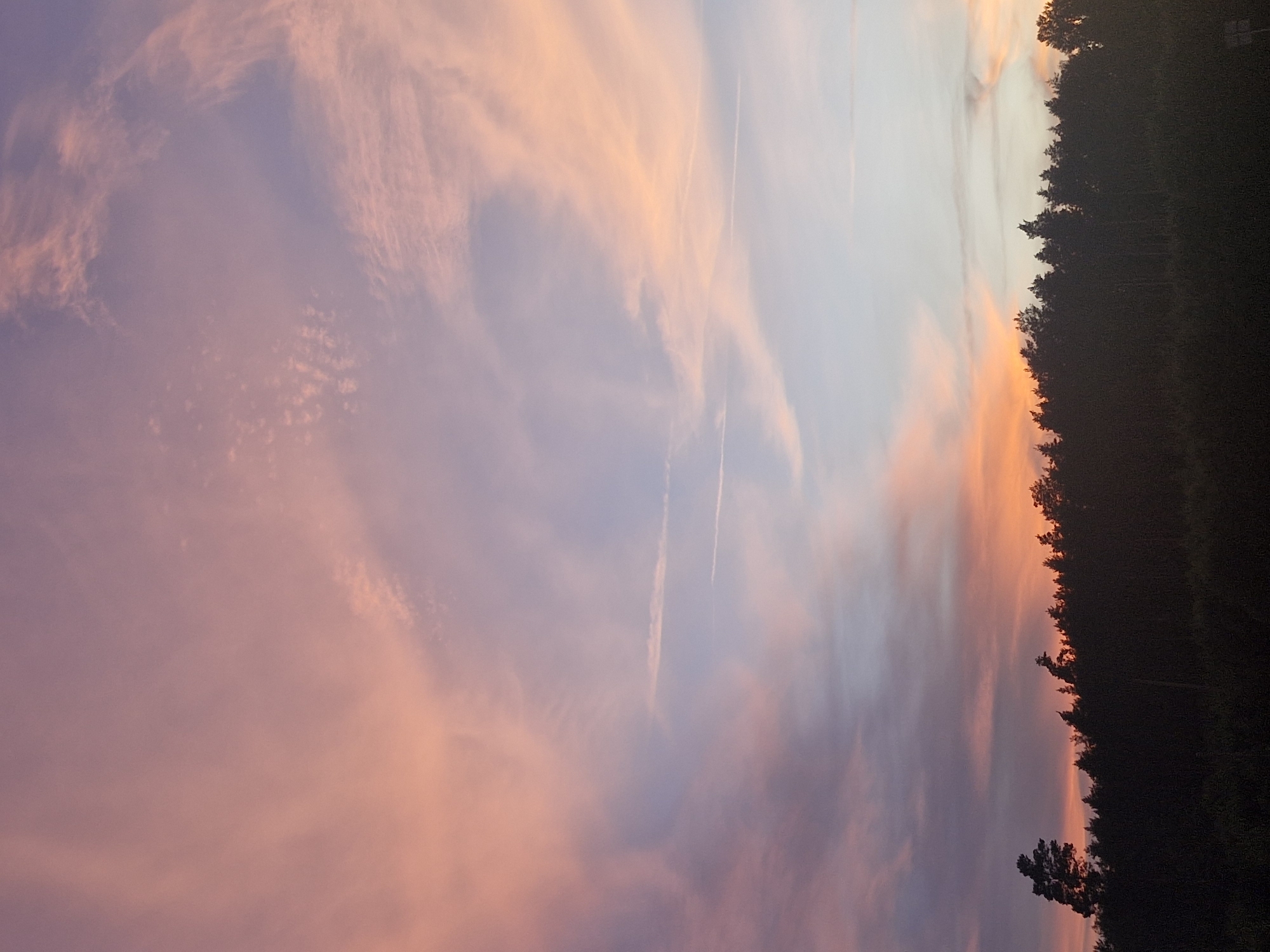 A silhouetted treeline runs horizontally across the bottom of the image, against a sunset sky. The sky transitions from a deep orange near the horizon to shades of pink, lavender, and pale blue higher up. Wispy clouds are scattered across the sky, illuminated by the setting sun, creating streaks of light and color. The treeline is dense and dark, with individual trees visible as jagged silhouettes. One taller tree stands out on the left side of the frame. The overall impression is one of a serene, natural landscape at dusk. The location is not specified in the image.
