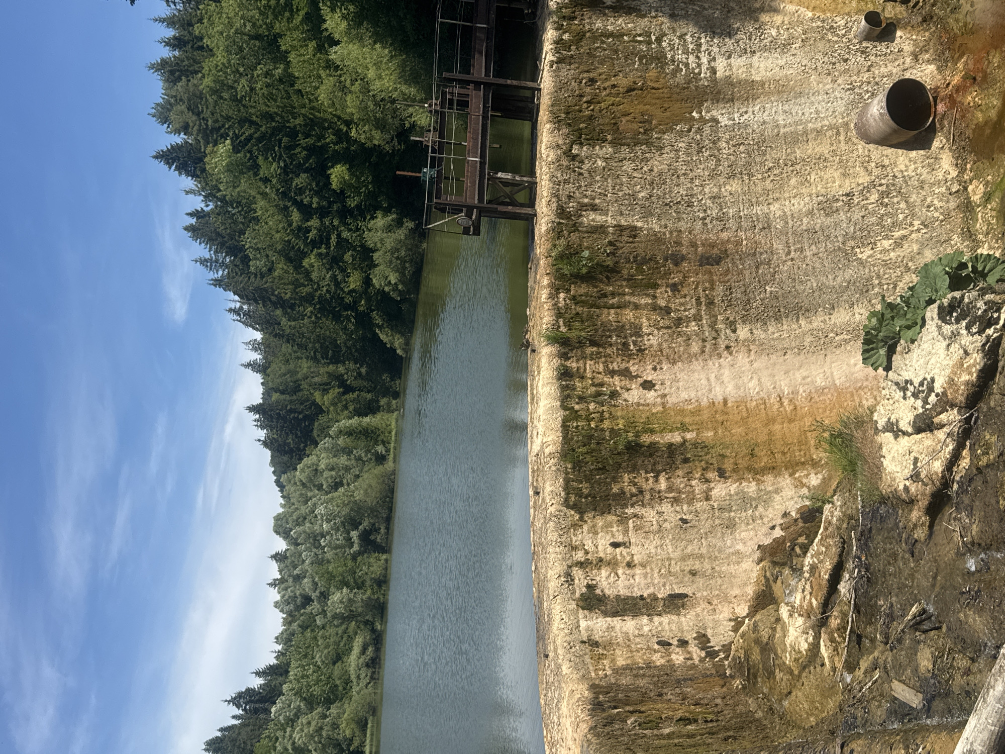 The image depicts a lake surrounded by a dense forest under a bright blue sky with scattered white clouds. In the foreground, a weathered, concrete dam wall is visible, with patches of moss and mineral deposits staining its surface. There is a metal structure with walkways and mechanical components on top of the dam. Below the dam, the terrain is rocky and partially submerged in water, with fallen branches and debris. Two metal pipes are attached to the dam wall. The environment appears to be natural and somewhat overgrown. The scene is likely situated in a rural or park-like setting.