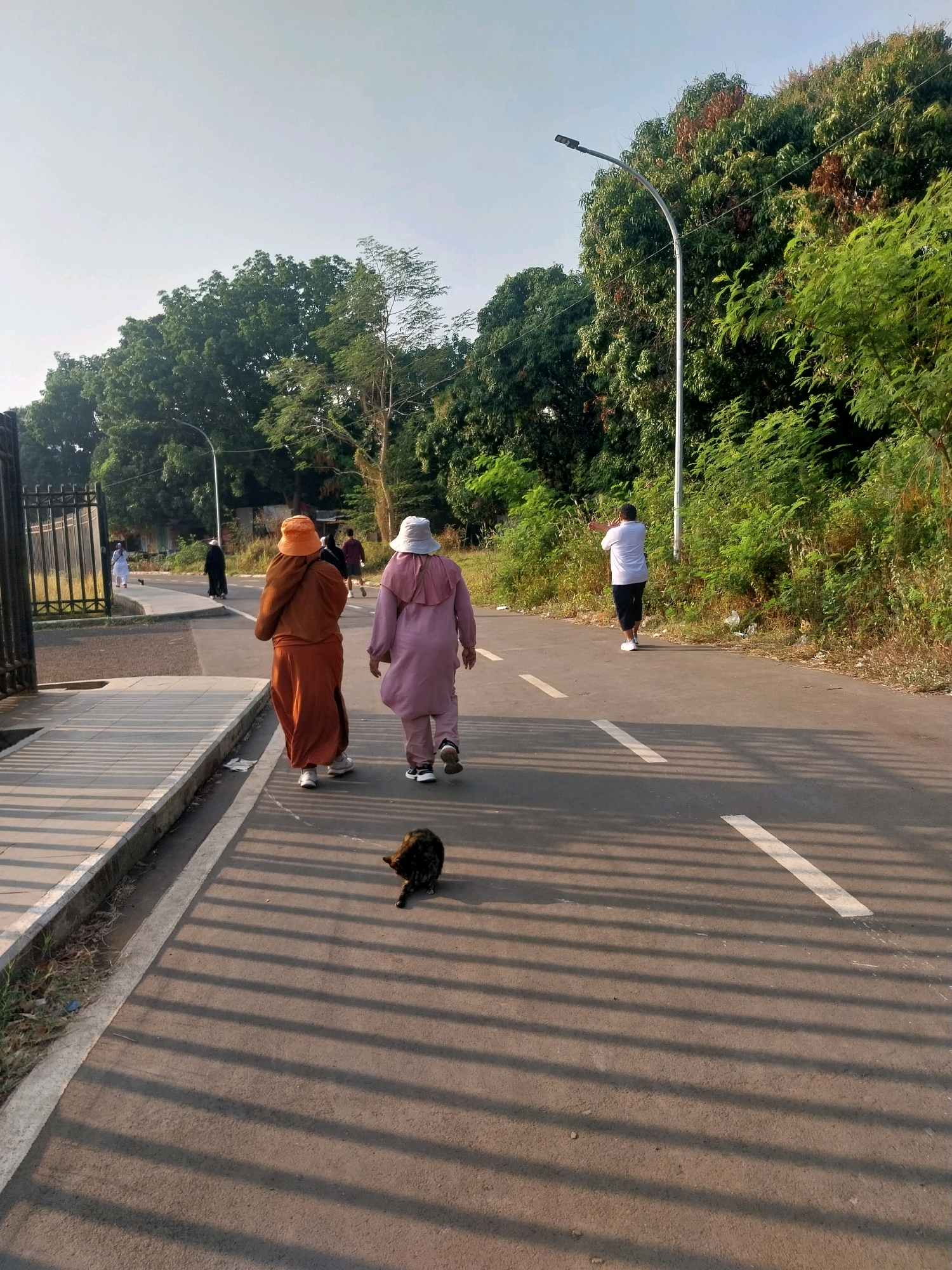A low-angle, outdoor, full-shot captures a paved path adjacent to a grassy embankment with dense foliage and trees, likely in Cirebon, Indonesia. Two women, clad in modest, long-sleeved clothing and head coverings (one in orange with a matching hat, the other in pink with a light blue hat), walk away from the viewer on the asphalt path. A third person, wearing a white long-sleeved shirt and dark pants, stretches by the roadside further down the path, facing away from the camera. In the foreground, a dark-colored cat with visible tabby markings grooms itself on the asphalt, casting a long shadow from the low-hanging sun, which also creates parallel striped shadows across the path. A metal fence with vertical bars borders the left side of the path, with a paved walkway running alongside it. A street light with a single, modern fixture stands near the embankment. Several other individuals are visible in the distance, including two figures walking near the fence on the left and another person walking ahead on the asphalt path. The sky is clear and light blue, suggesting it is either early morning or late afternoon.