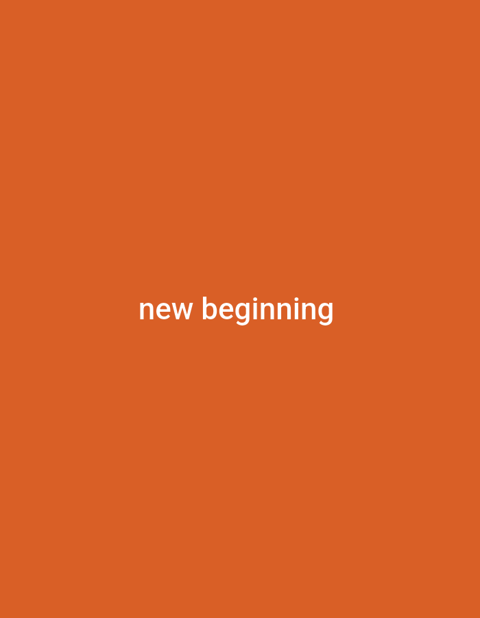 The media file is a static image displaying the words "new beginning" in white, sans-serif text centered horizontally and vertically on an orange background. There are no people, objects, or scenes depicted. The activity is none, as it is a still image. There are no notable details regarding time of day, weather, or location cues, other than the provided location context of Jalingo, Nigeria. The text is the only element present, and it conveys a sentiment of hope or a fresh start.