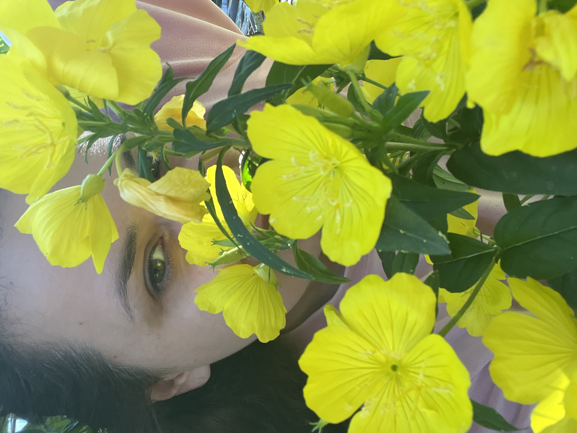 A close-up, high-angle, medium shot shows the left side of a woman's face peeking through a cluster of vibrant yellow flowers. Her dark hair frames her face, and her green eye is visible, looking towards the camera. The woman is wearing a light pink shirt. The flowers, with their delicate petals and visible stamen, dominate the foreground and midground, creating a soft, organic contrast with the woman's features. The background is blurred, with hints of greenery and what appears to be a light-colored structure, possibly a building or fence. The lighting suggests it is daytime, with natural light illuminating the scene.
