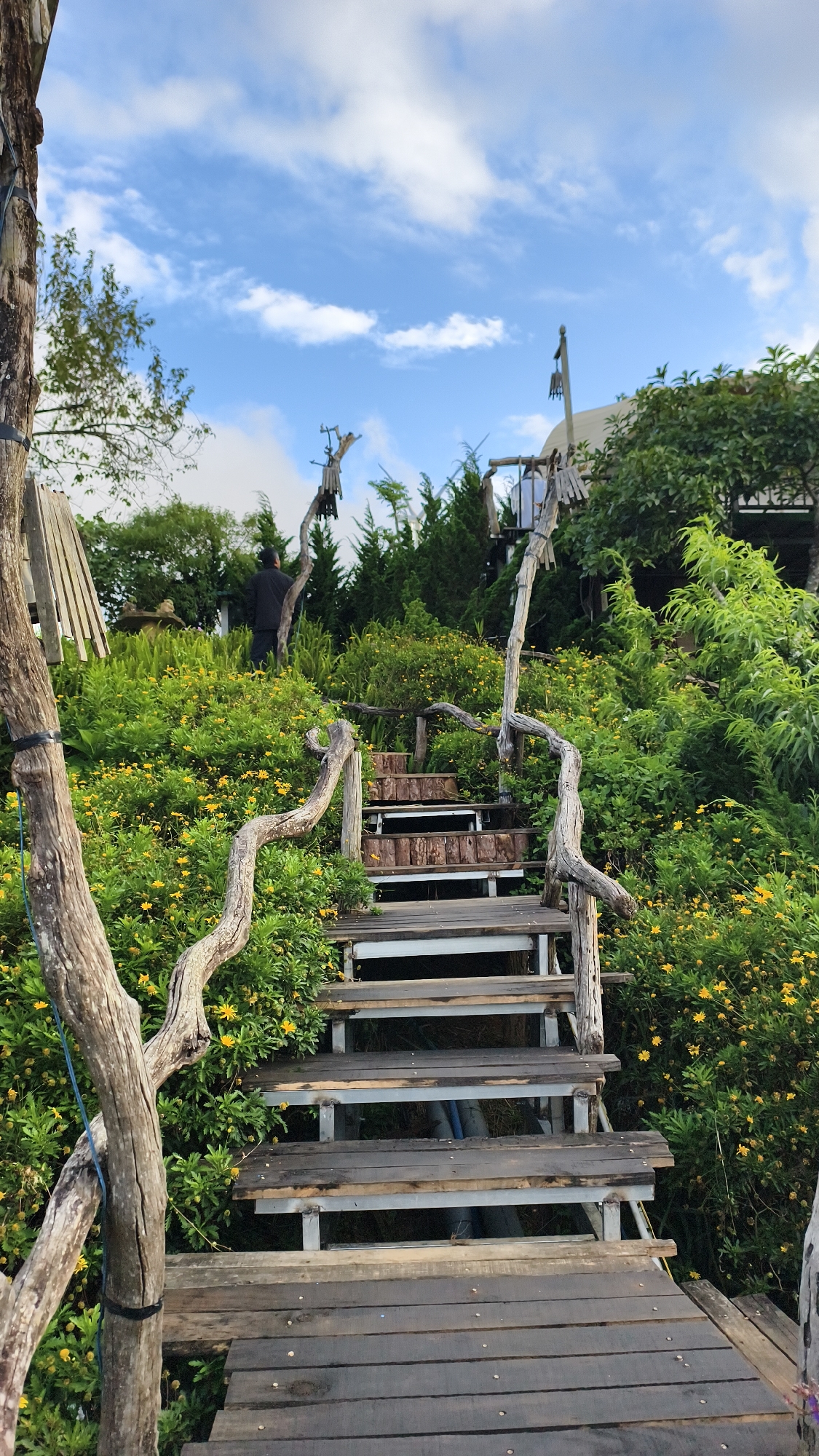 A wooden staircase with a rustic, naturalistic design, featuring gnarled branches as railings, ascends through lush green foliage dotted with small yellow flowers. The stairs are made of weathered wood planks laid over a metal frame. In the background, a person wearing a dark shirt stands amidst the greenery, facing away from the camera. Above the foliage, a building with a light-colored facade and a distinctive architectural style is partially visible, along with cypress trees and a bright blue sky with scattered white clouds. The scene appears to be an outdoor setting, possibly a garden or park area, in or near the city of Phát Chi, Vietnam.