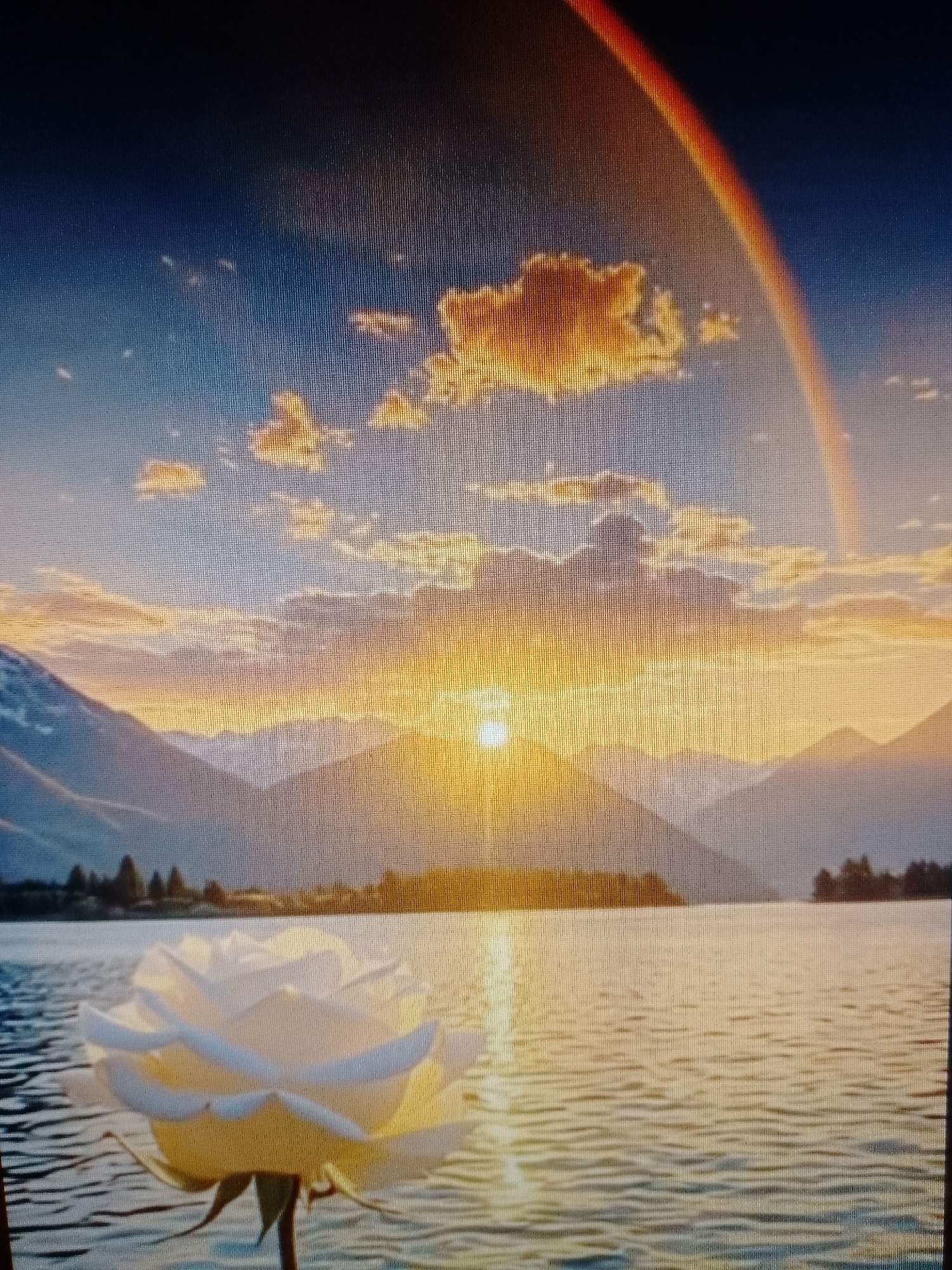 The image presents a landscape featuring a body of water reflecting a sunset. Mountains are visible in the background, partially obscured by the sun's glare. A rainbow arcs across the sky above the clouds. In the foreground, a white rose is prominently displayed. The specific location is undetermined without further information.