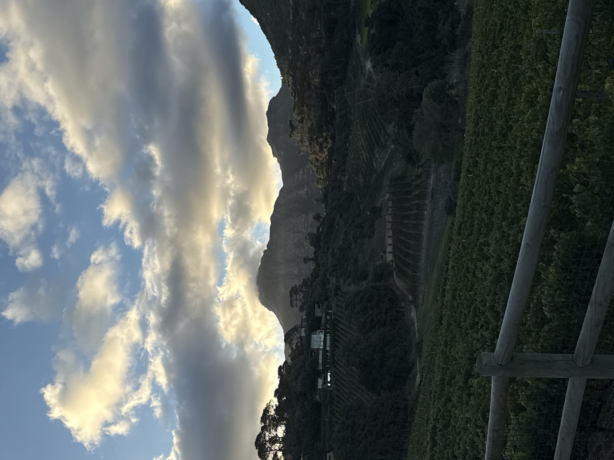 A landscape image displays a view of a mountainous region in Cape Town, South Africa. A large mountain, partly shrouded in clouds, forms the backdrop of the image. The landscape is dominated by lush greenery, possibly vineyards, arranged in terraces that run along the slopes of the mountain. A wooden fence stands on the right side of the frame. The sky, with a mix of blue and grey, is filled with clouds. The overall scene captures a mix of natural beauty and agricultural activity.