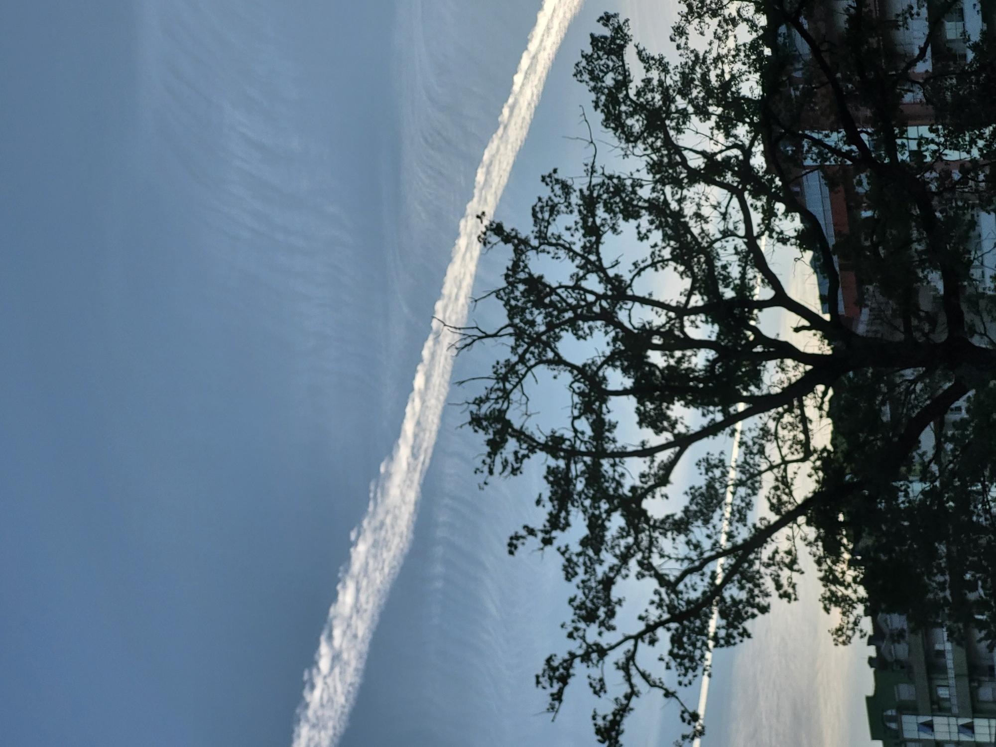 This image, taken in Budva, Montenegro, presents a sky-dominated view featuring a prominent airplane contrail, a silhouetted tree, and a glimpse of a building. The photograph appears to be rotated 90 degrees clockwise.
The majority of the frame is filled by a soft, clear blue sky, exhibiting subtle, wispy cloud formations that suggest high-altitude cirrus clouds. Cutting diagonally across the sky from the top-left towards the middle-right is a distinct, bright white contrail, indicating the passage of an aircraft. The contrail is linear and well-defined, contrasting with the lighter blue hues of the sky.
On the right side of the image, a large, deciduous tree is prominently silhouetted against the bright sky. Its intricate network of branches and dense foliage creates a dark, organic shape that occupies a significant portion of this side of the frame. The tree's leaves are visible but rendered as dark masses due to the backlighting.
Behind the tree and partially obscured by its branches, a multi-story building can be seen. Its architectural features, including windows and structural lines, are discernible through the foliage, suggesting an urban or suburban environment.
The scene depicts a calm daytime moment, likely under clear weather conditions, characterized by the visible contrail and the soft quality of the sky. There is no specific activity taking place, and no visible text is present in the image.