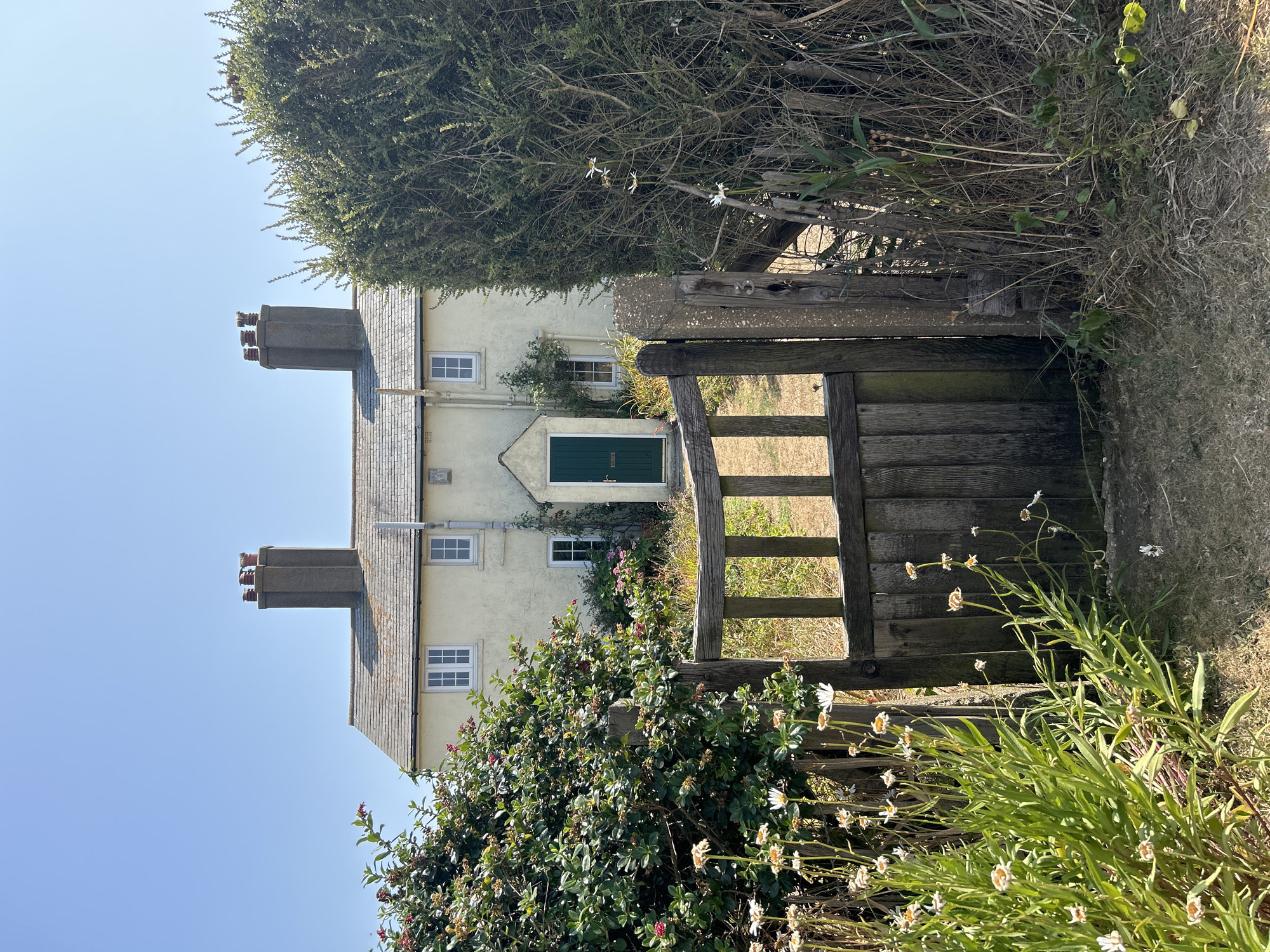 A traditional pale yellow cottage stands behind a rustic wooden gate and a hedge of greenery. The cottage has a grey slate roof with two prominent chimneys, each with three pots. There are several white-framed windows on the facade, and a dark green front door is visible under a small porch. Wild daisies and other low-lying plants grow in front of the gate, with a larger, dense green bush to the right of the scene. The sky is clear and blue. The overall impression is one of a quiet, rural setting, possibly in a coastal area given the vegetation and the clear sky. The presence of the cottage, gate, and garden suggests a residential property. No people are visible in the image. The scene appears to be a static, outdoor environment. The location is in Seaford, United Kingdom.