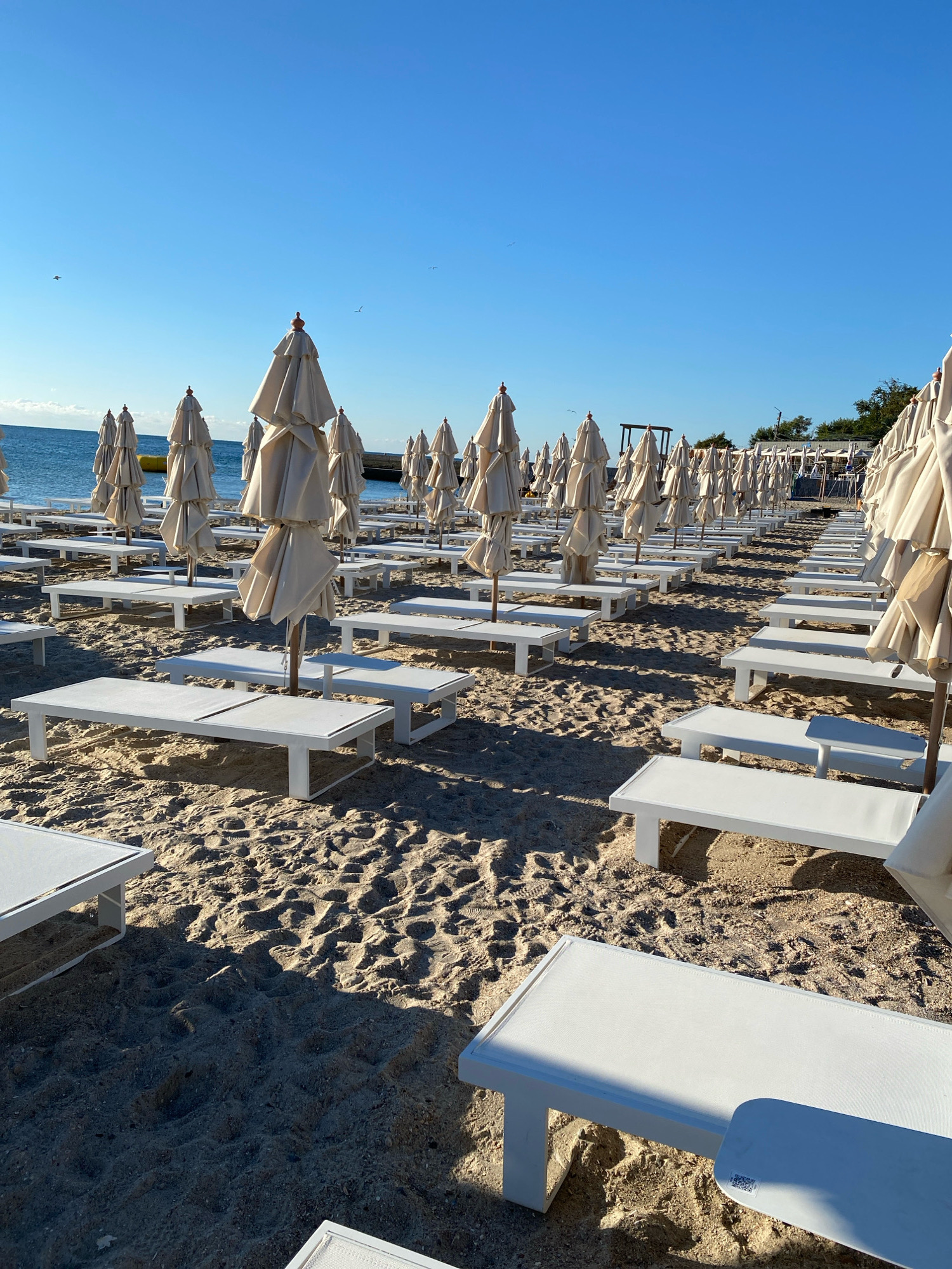 An outdoor, eye-level, medium shot captures a beach scene in Odesa, Ukraine, with rows of closed, white beach umbrellas and empty white lounge chairs neatly arranged on the sand. The sand is textured and shows footprints, indicating recent use. The sea is visible in the background under a clear, bright blue sky, with a few distant birds flying. The scene appears to be set up for a sunny day, with the umbrellas providing shade and the chairs ready for relaxation. The arrangement of the furniture suggests a commercial establishment, possibly a resort or a private beach club. The overall impression is one of a peaceful and inviting seaside environment.