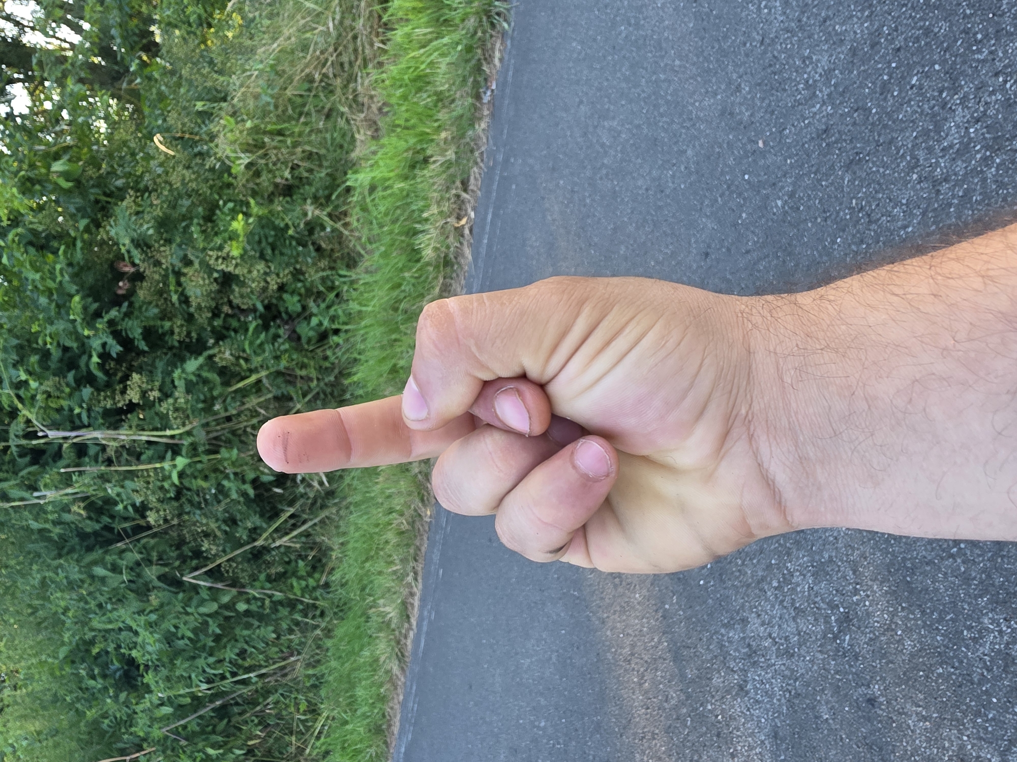 A hand with an extended middle finger is held up in front of a blurred background of green foliage and a grey asphalt road. The hand appears to be that of an adult male, with visible veins and a slightly grimy fingernail on the extended digit. The setting is outdoors, likely a roadside or natural area, given the presence of grass and dense vegetation. The lighting suggests it is daytime. The exact location in Boffzen, Germany, cannot be determined from the image alone.